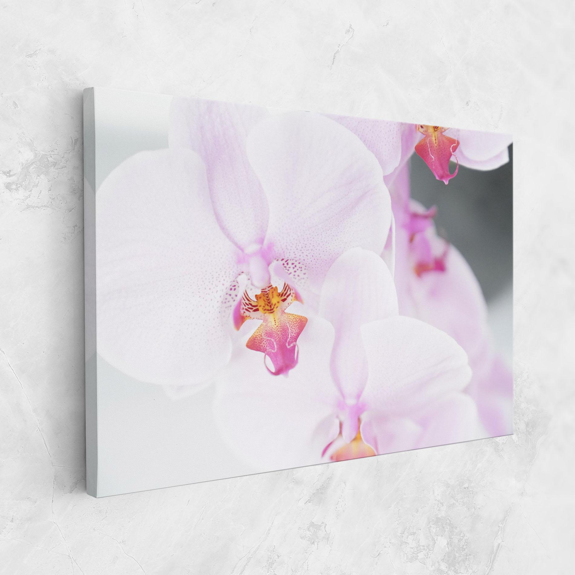Tablou Canvas Light Purple Orchid mockup 1