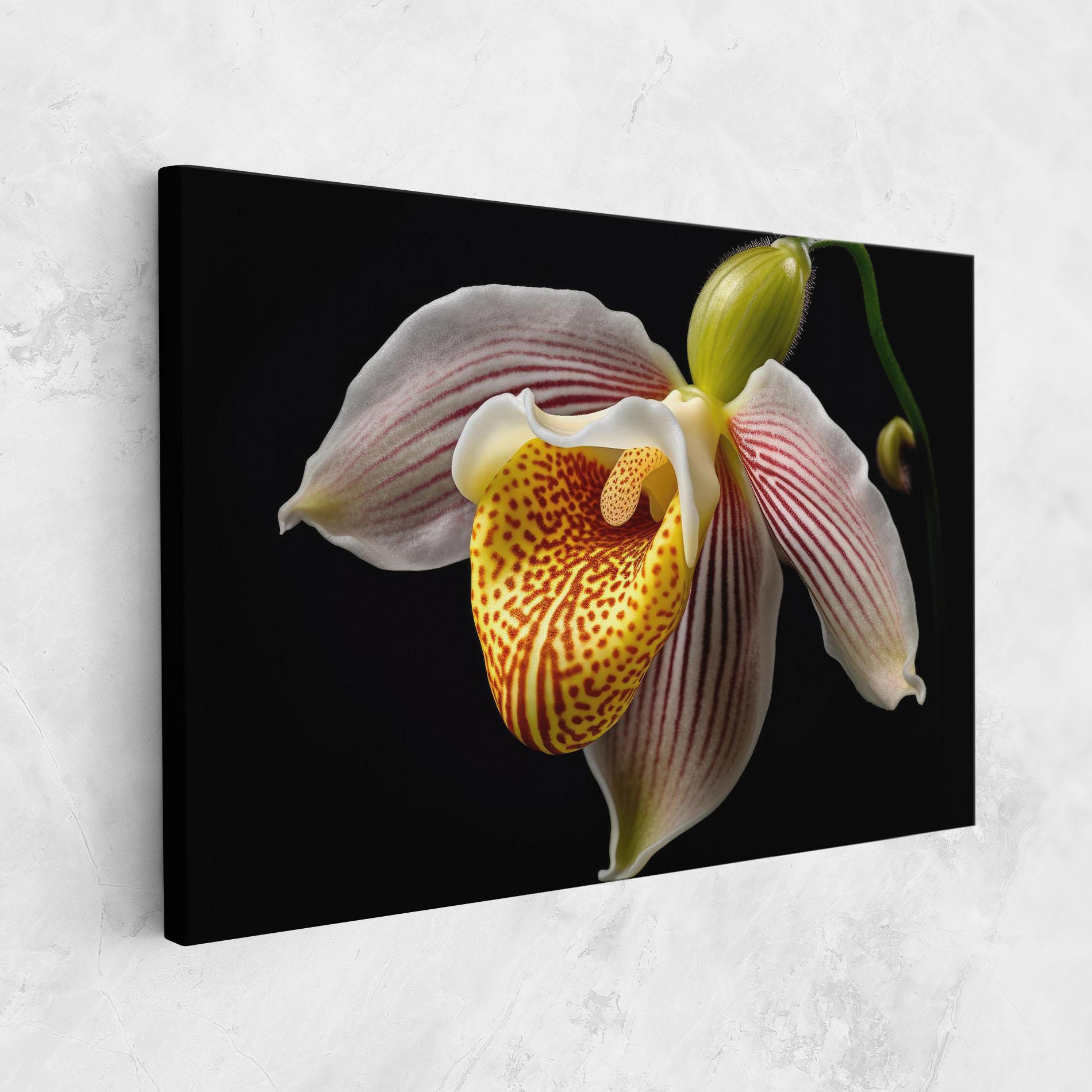 Tablou Canvas Orchid On Black mockup 1