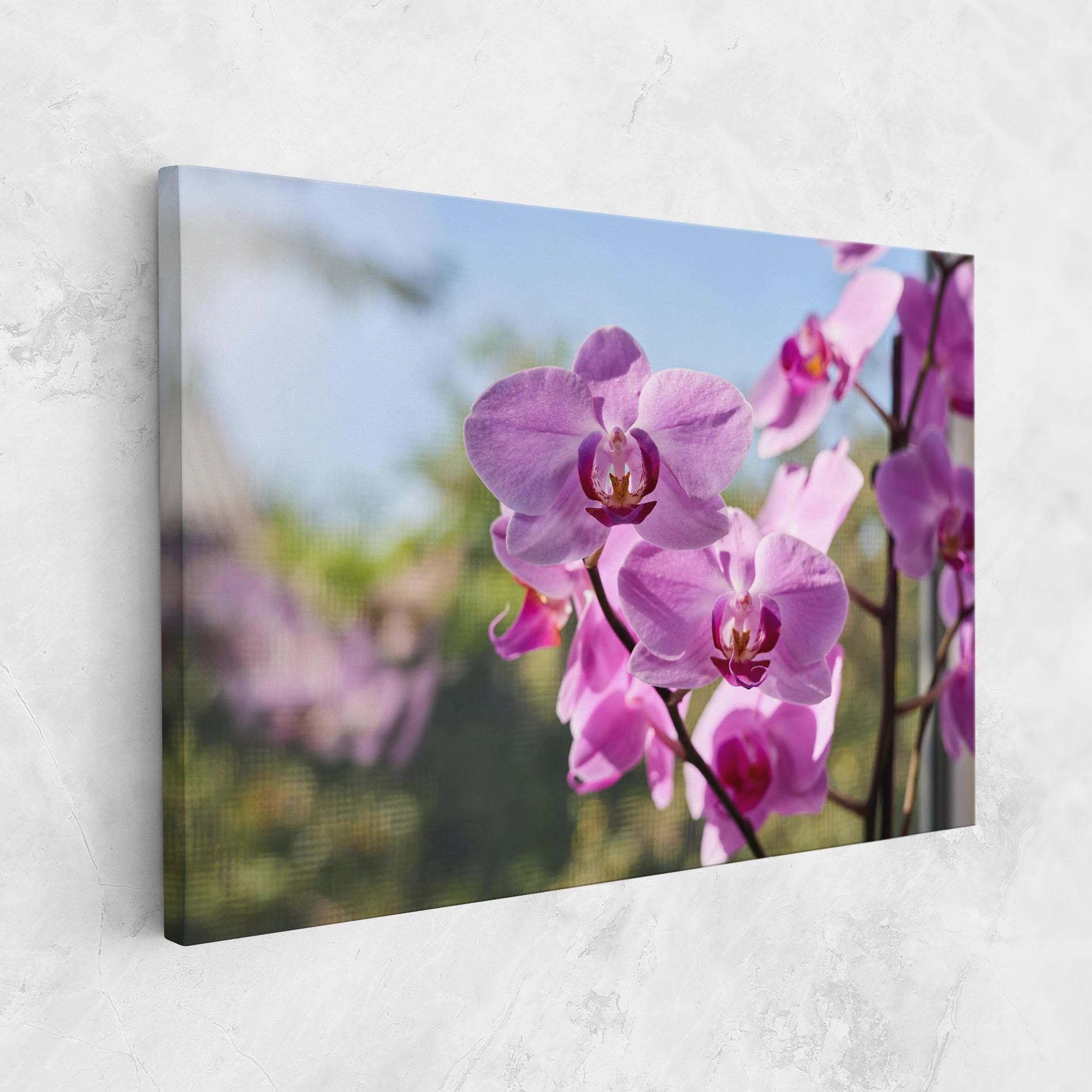 Tablou Canvas Orchids In The Garden mockup 1