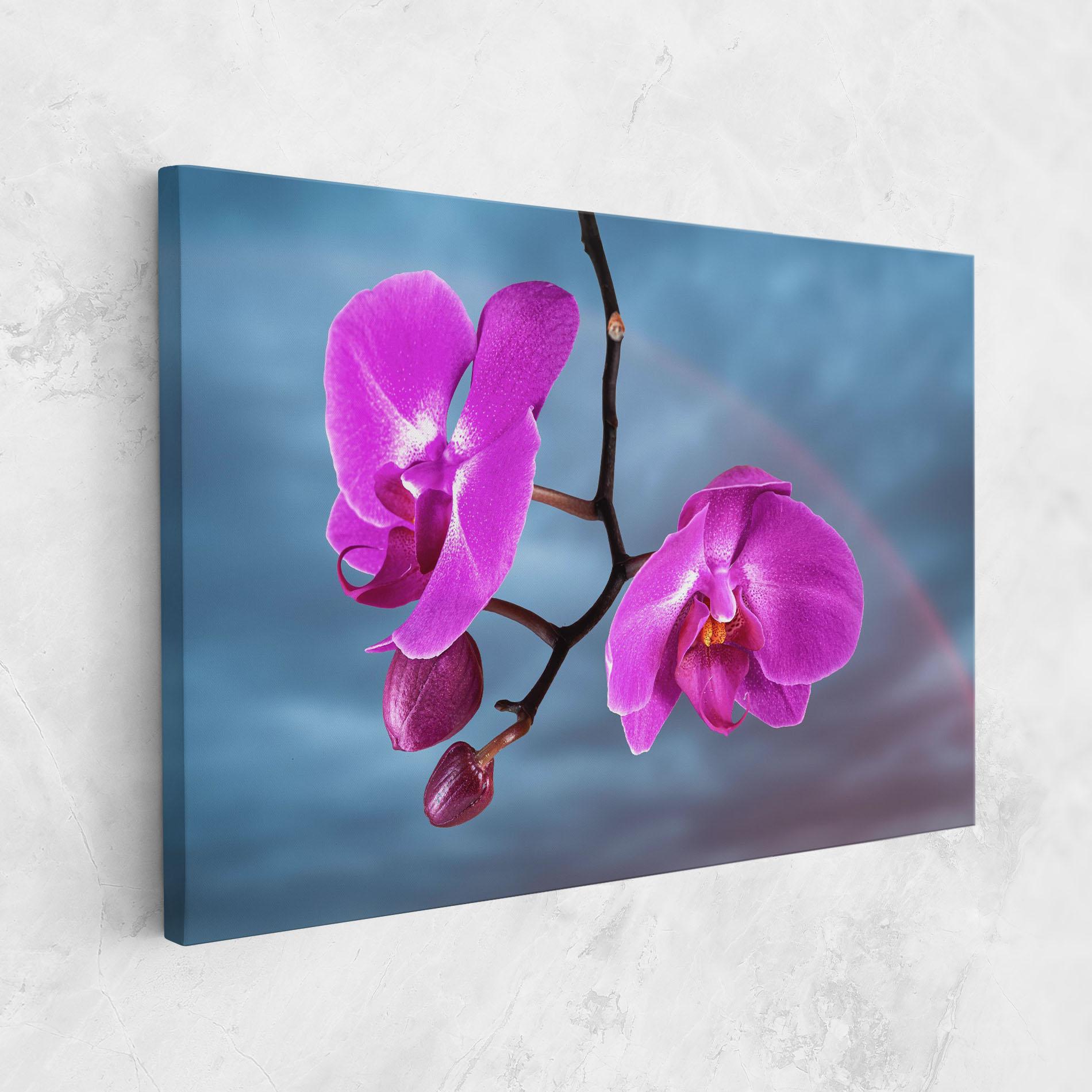 Tablou Canvas Sky Purple Orchid mockup 1