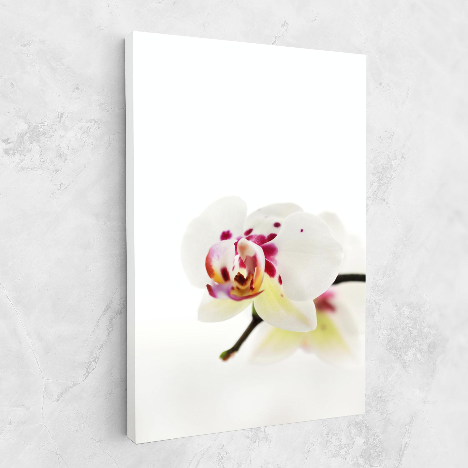 Tablou Canvas Clean White Orchid mockup 1