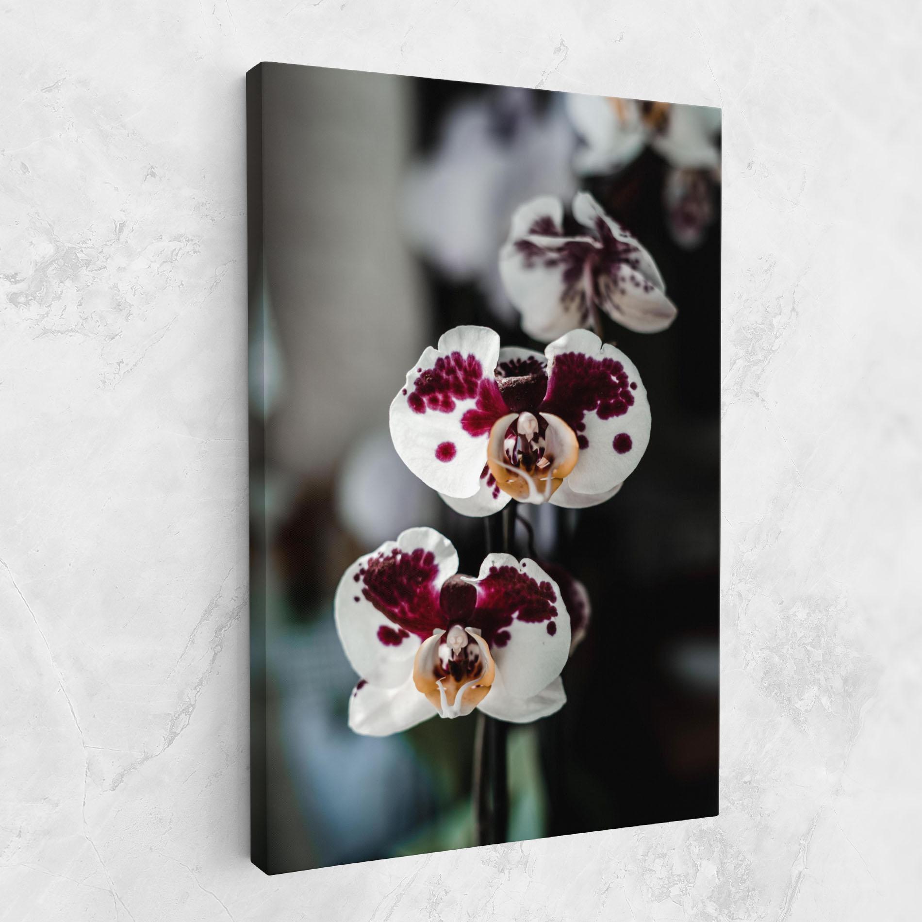 Tablou Canvas Dark Purple Orchid mockup 1