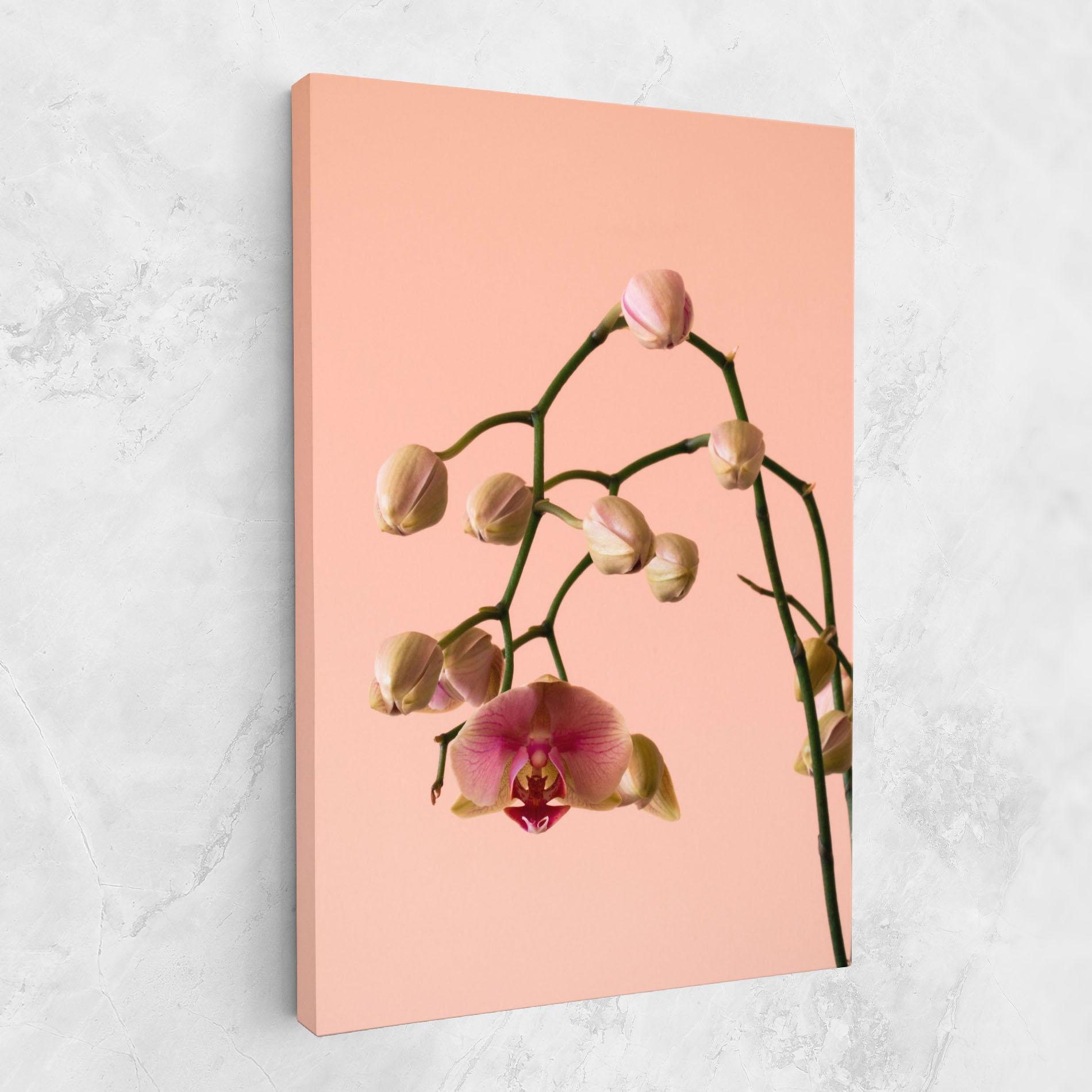 Tablou Canvas Orchids On Pink mockup 1
