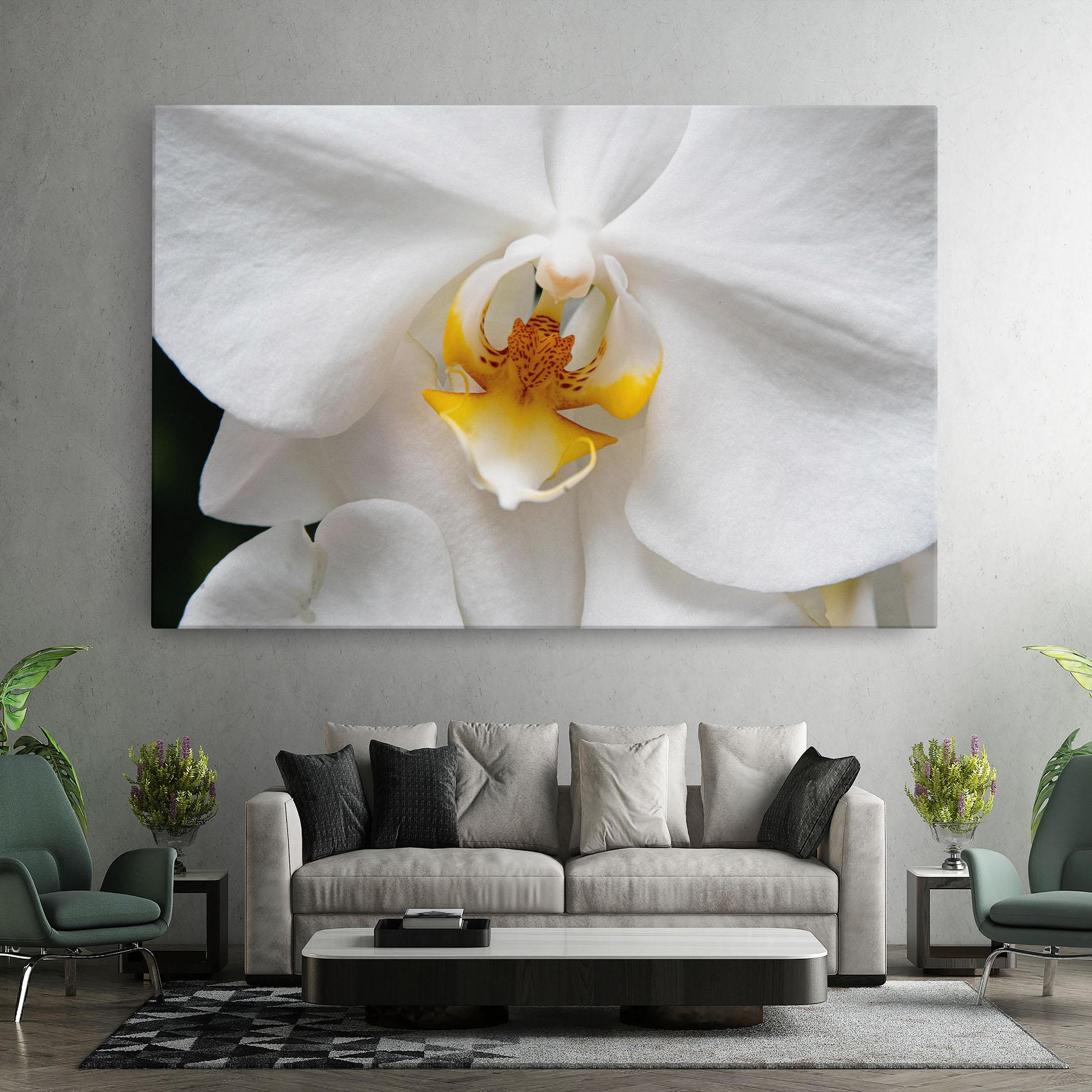 Tablou Canvas Big Orchid Close Up mockup 7