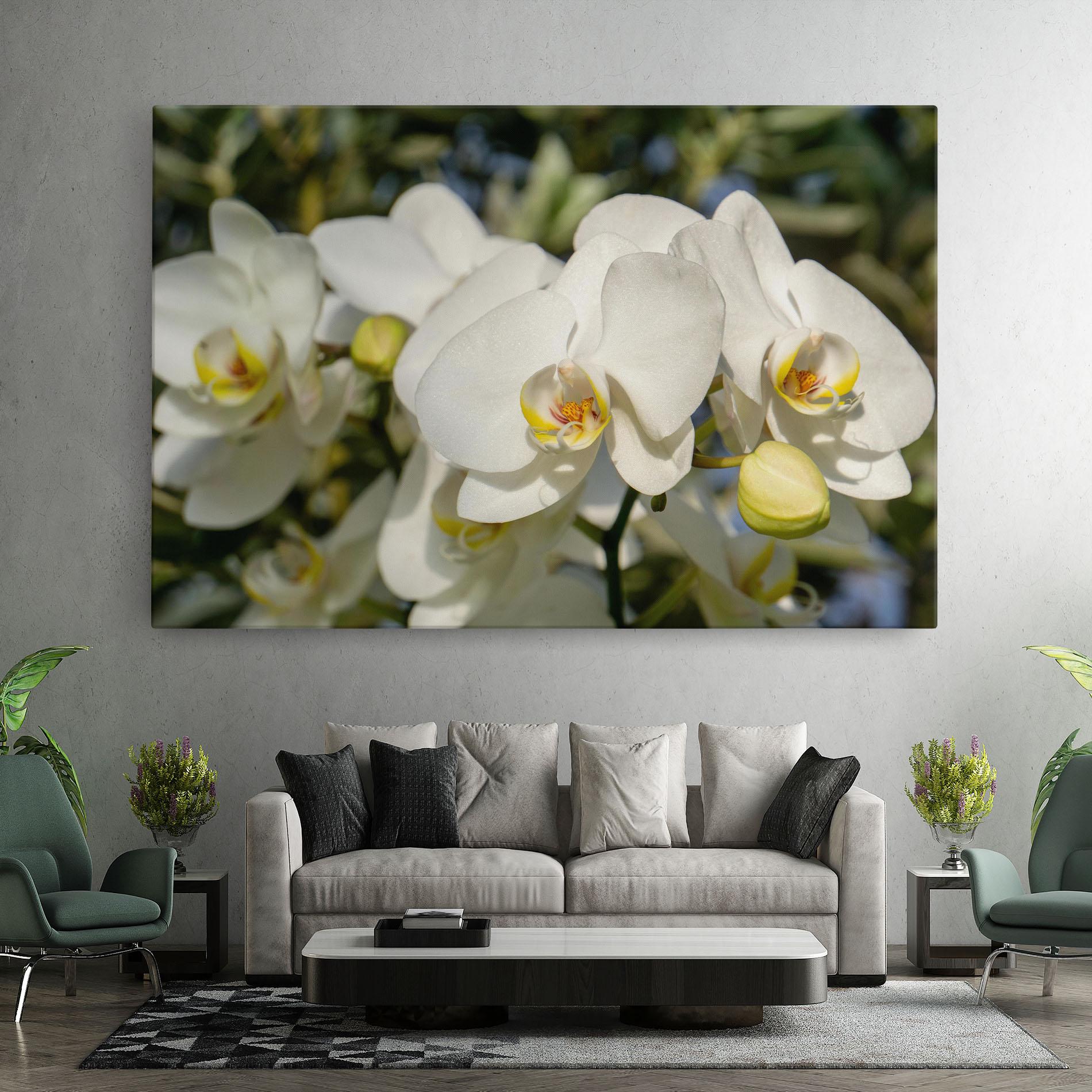 Tablou Canvas Big Orchids In Nature mockup 7