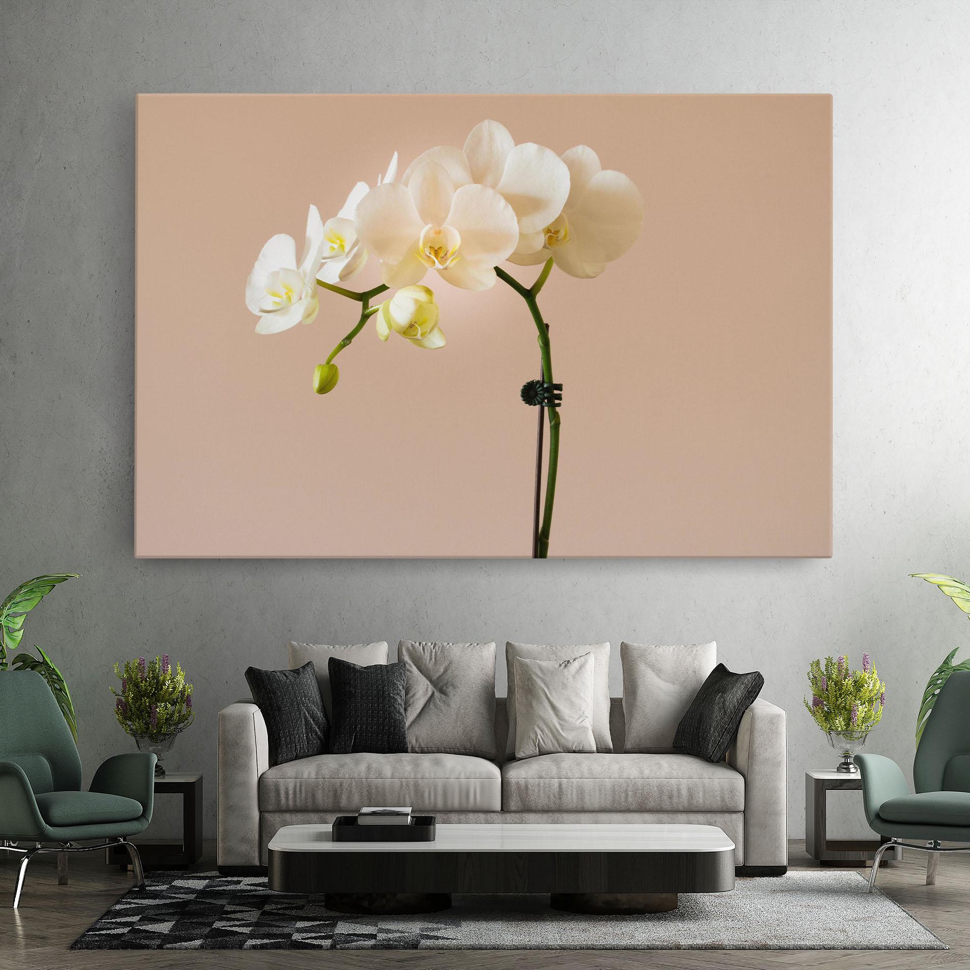 Tablou Canvas Cream Orchid On Pink mockup 7