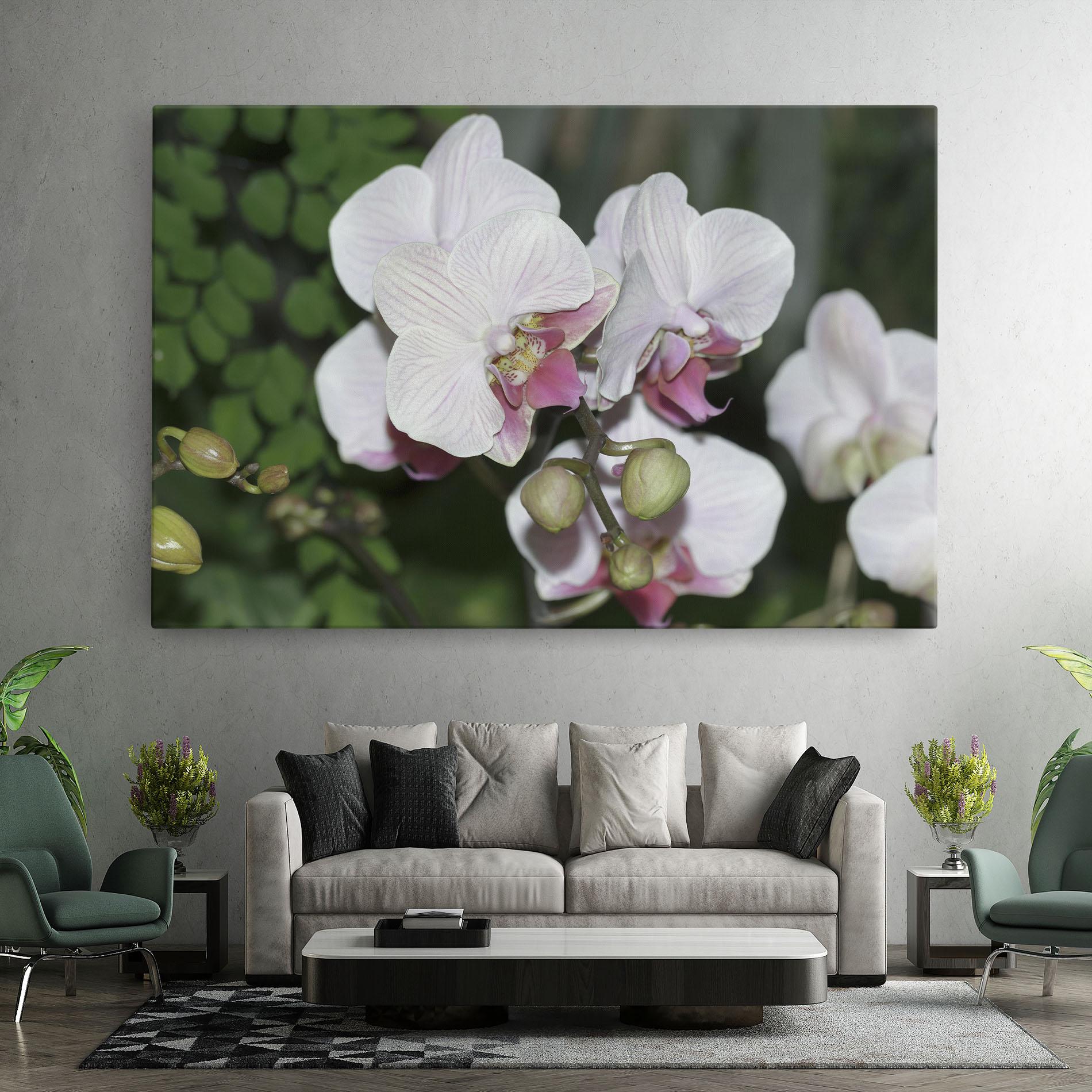 Tablou Canvas Orchid Botanical Garden mockup 7