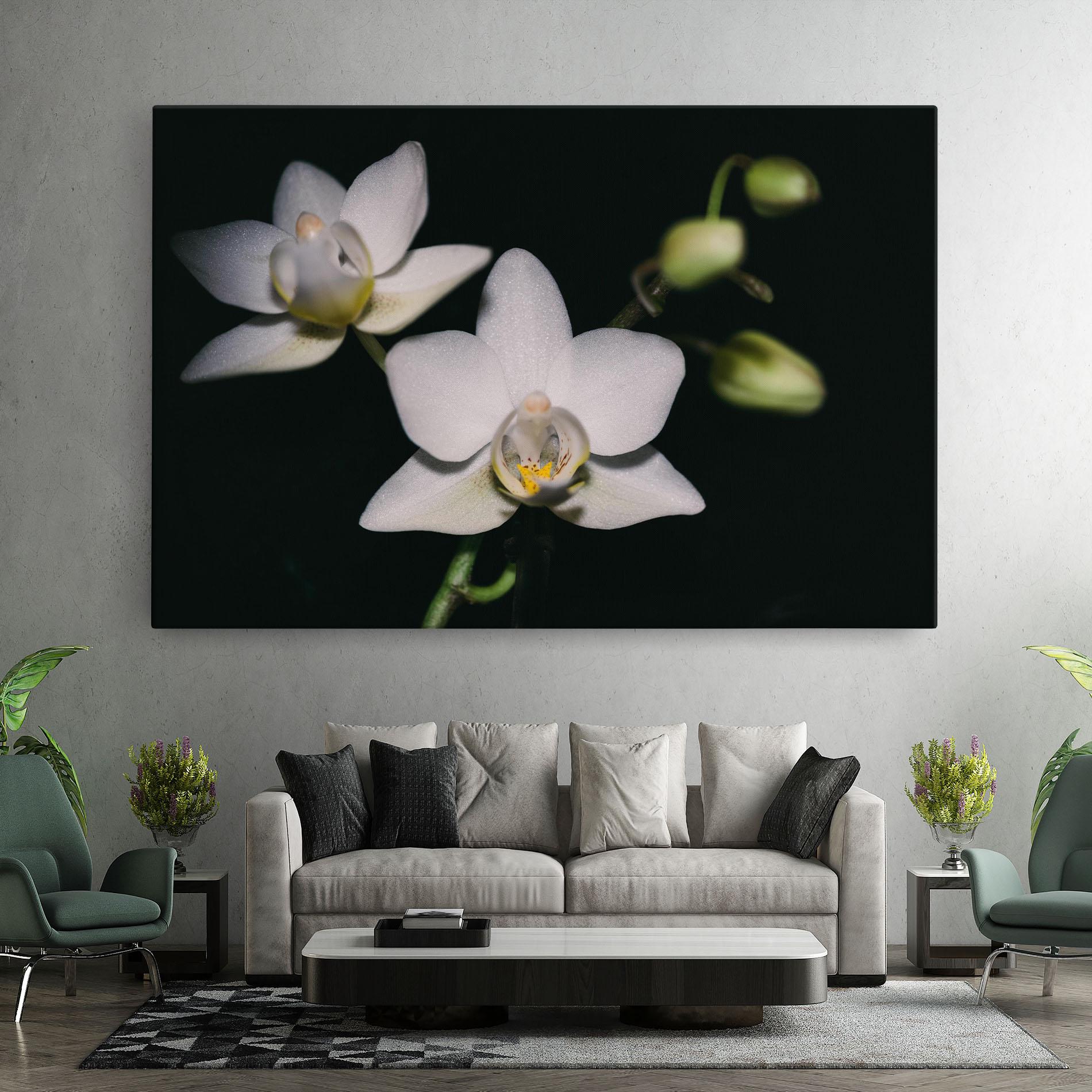 Tablou Canvas Orchids On Black mockup 7