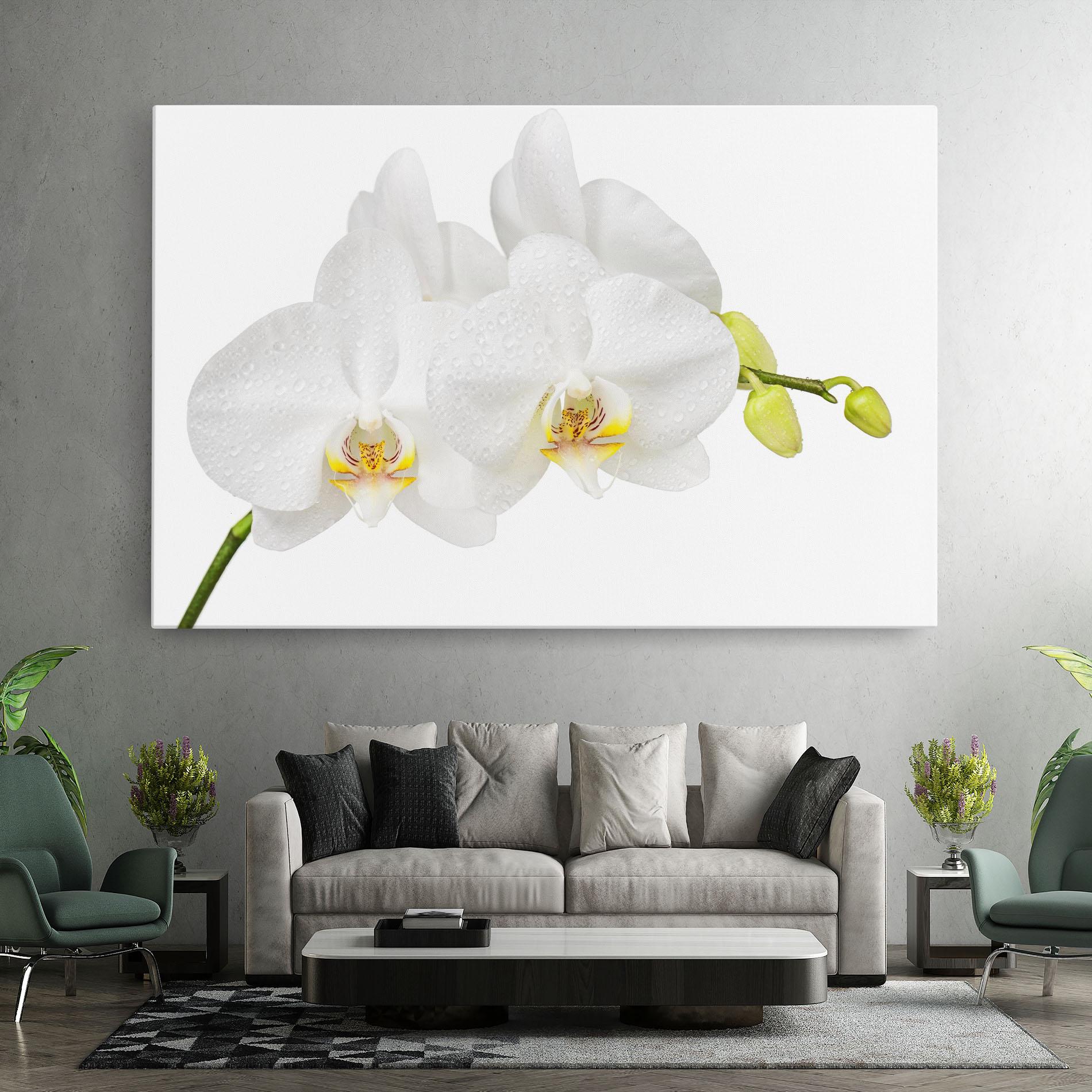 Tablou Canvas Orchids On White mockup 7