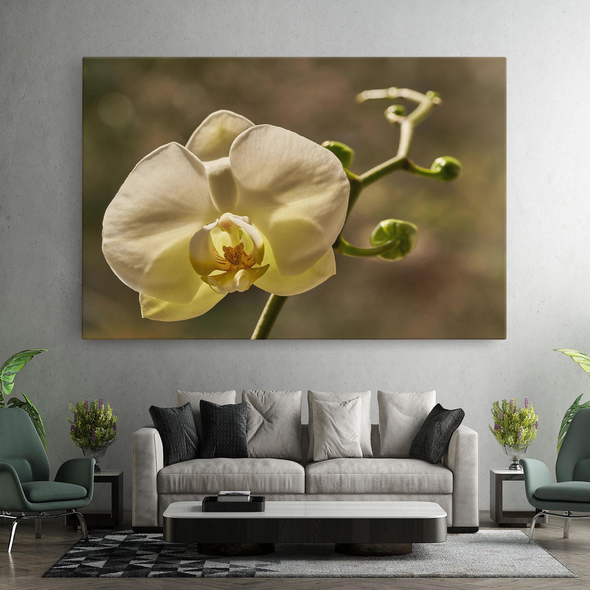 Tablou Canvas Pastel Yellow Orchid In Garden mockup 7