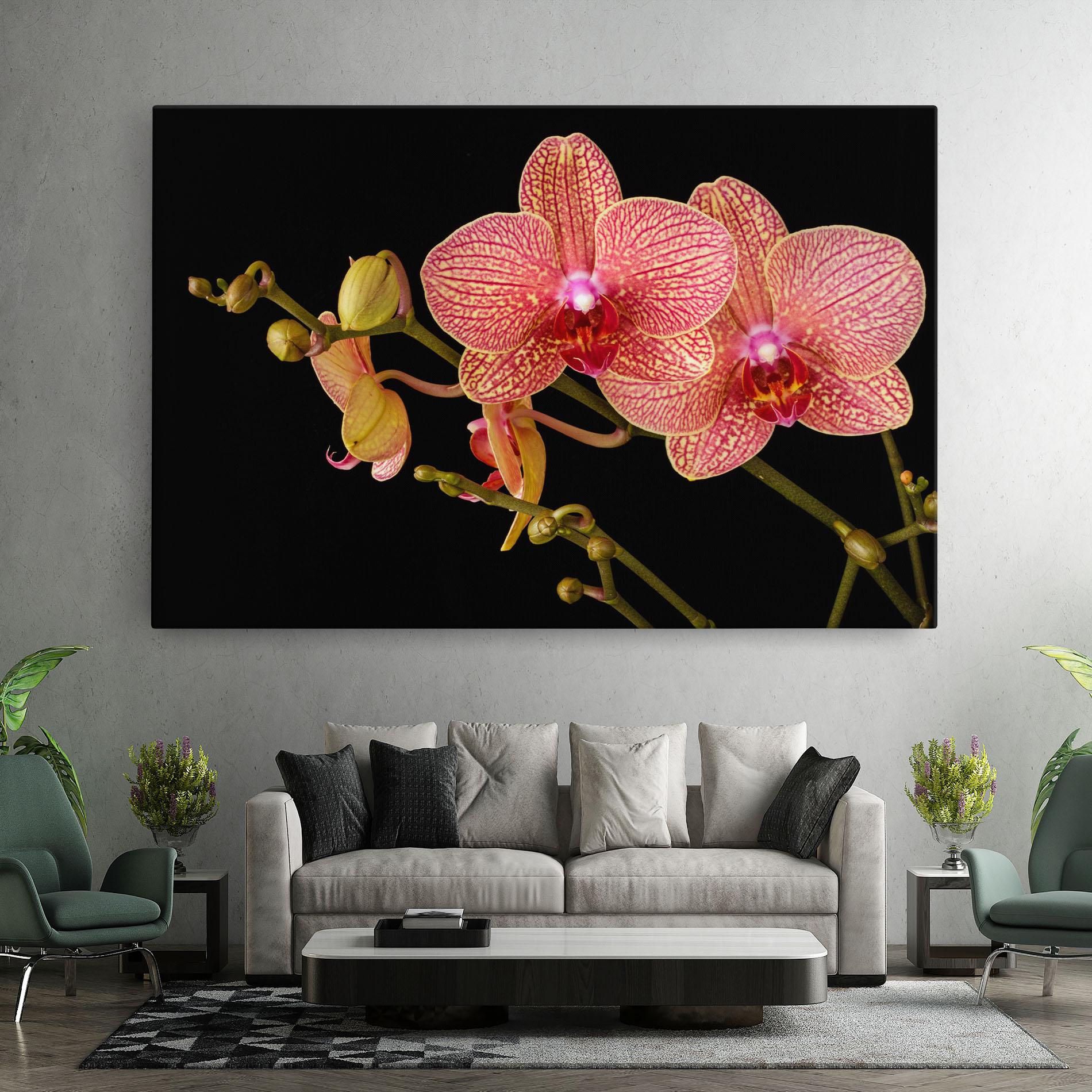 Tablou Canvas Pink Orchids On Black mockup 7