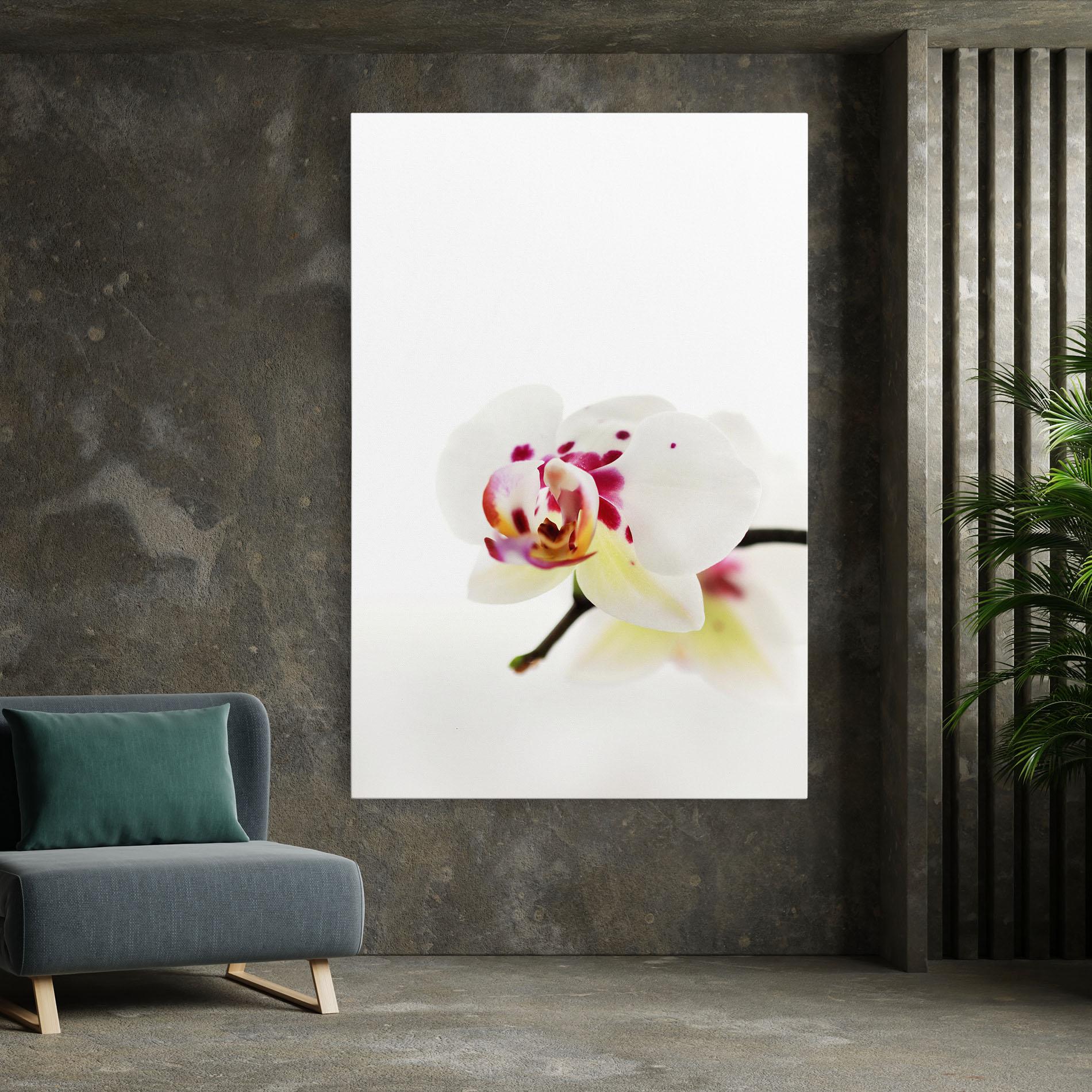 Tablou Canvas Clean White Orchid mockup 7