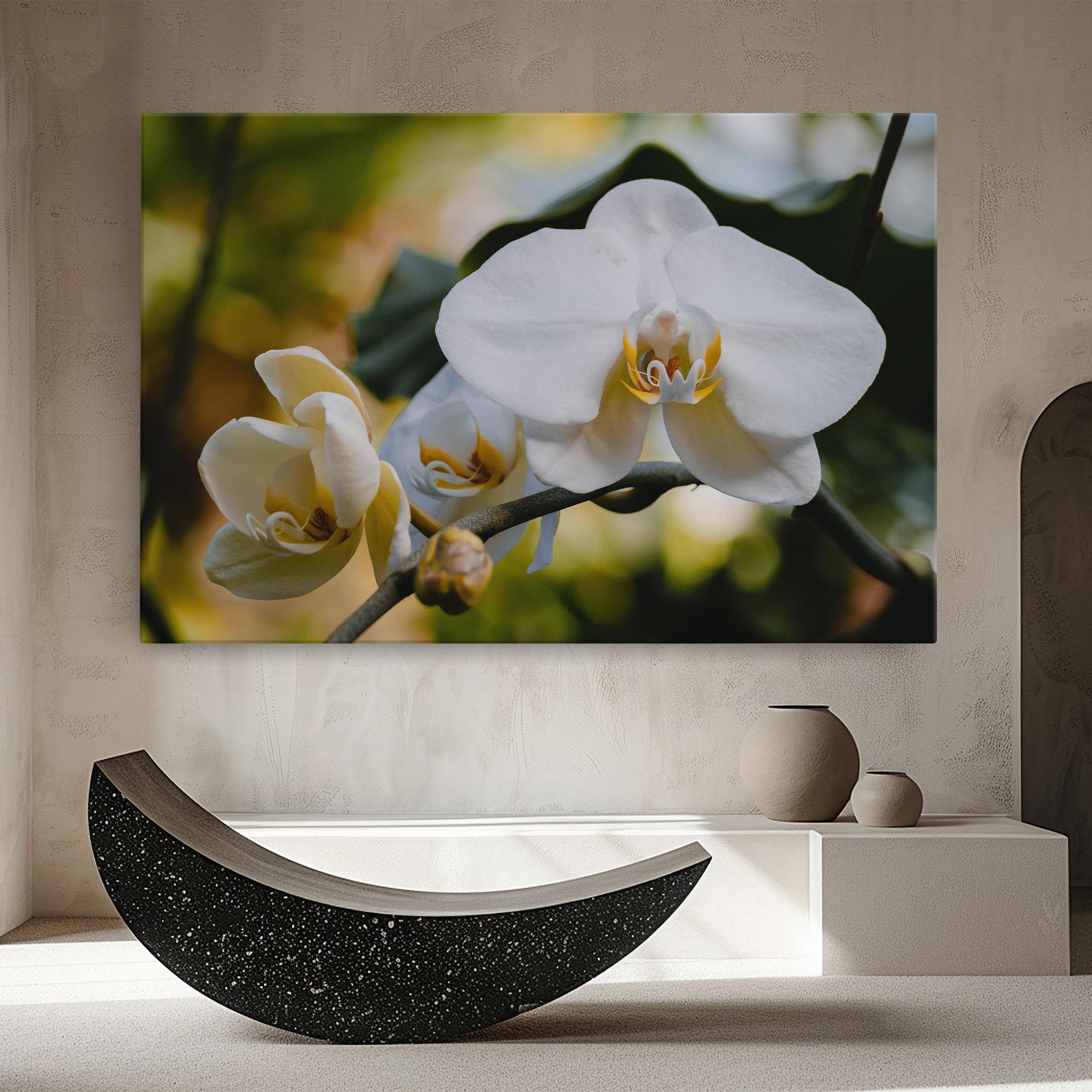 Tablou Canvas Cream Orchid In Nature mockup 8