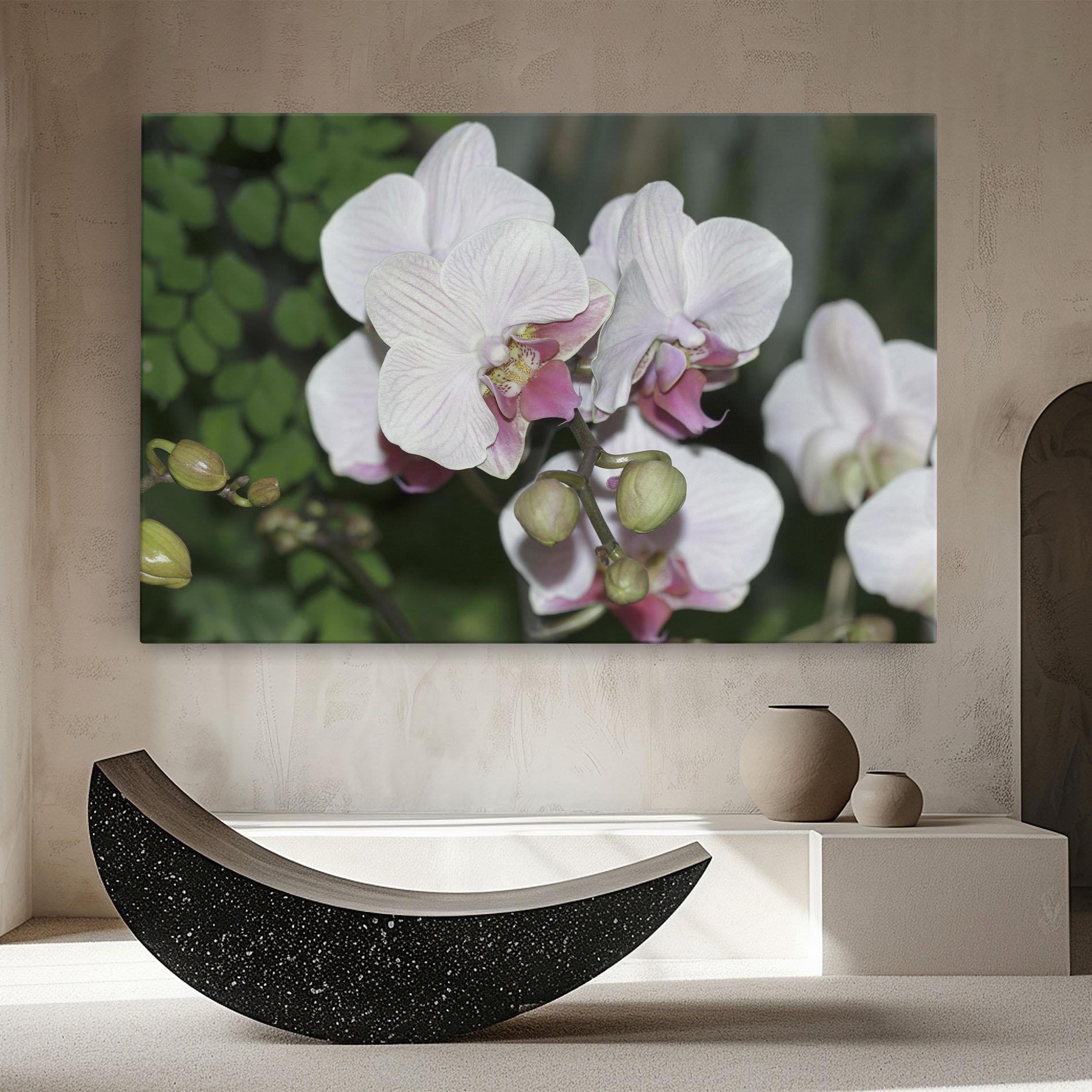 Tablou Canvas Orchid Botanical Garden mockup 8