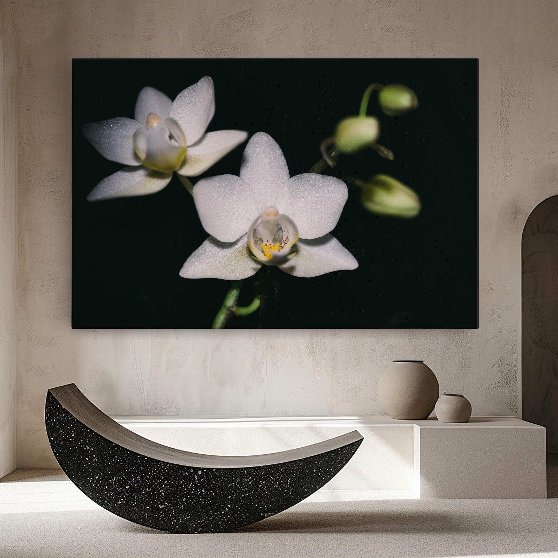 Tablou Canvas Orchids On Black mockup 8