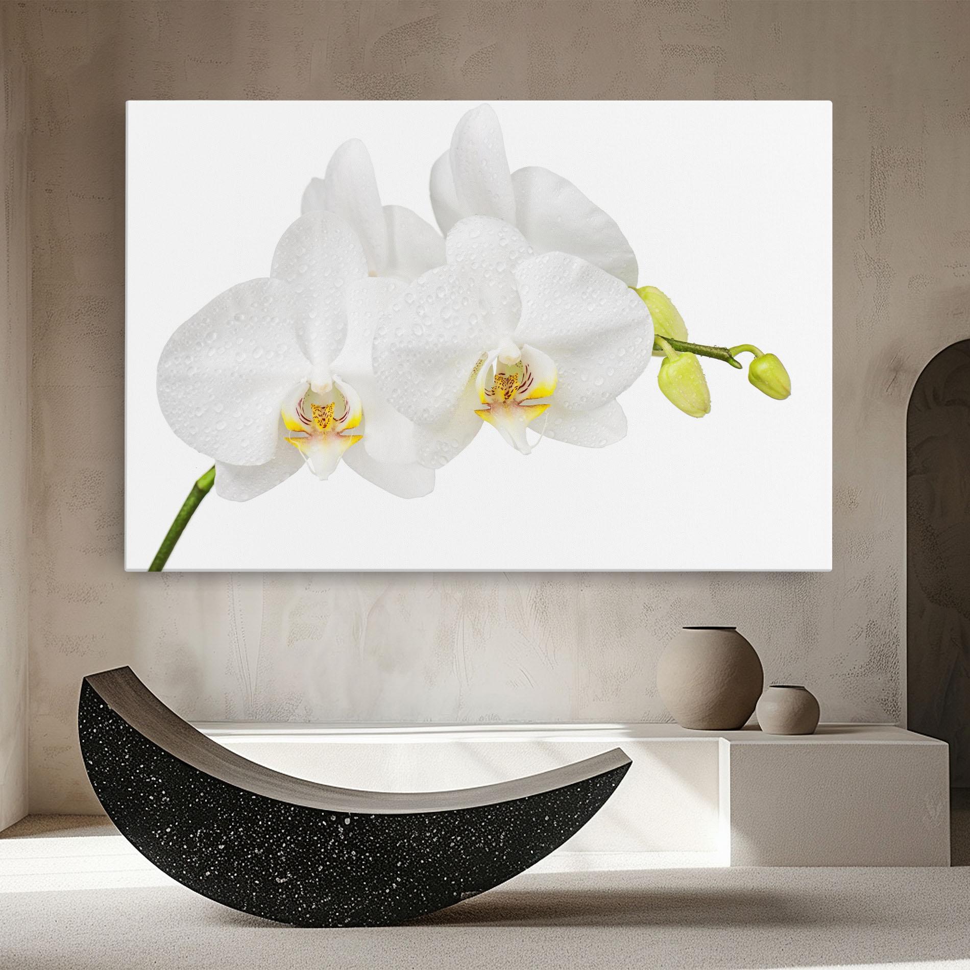 Tablou Canvas Orchids On White mockup 8
