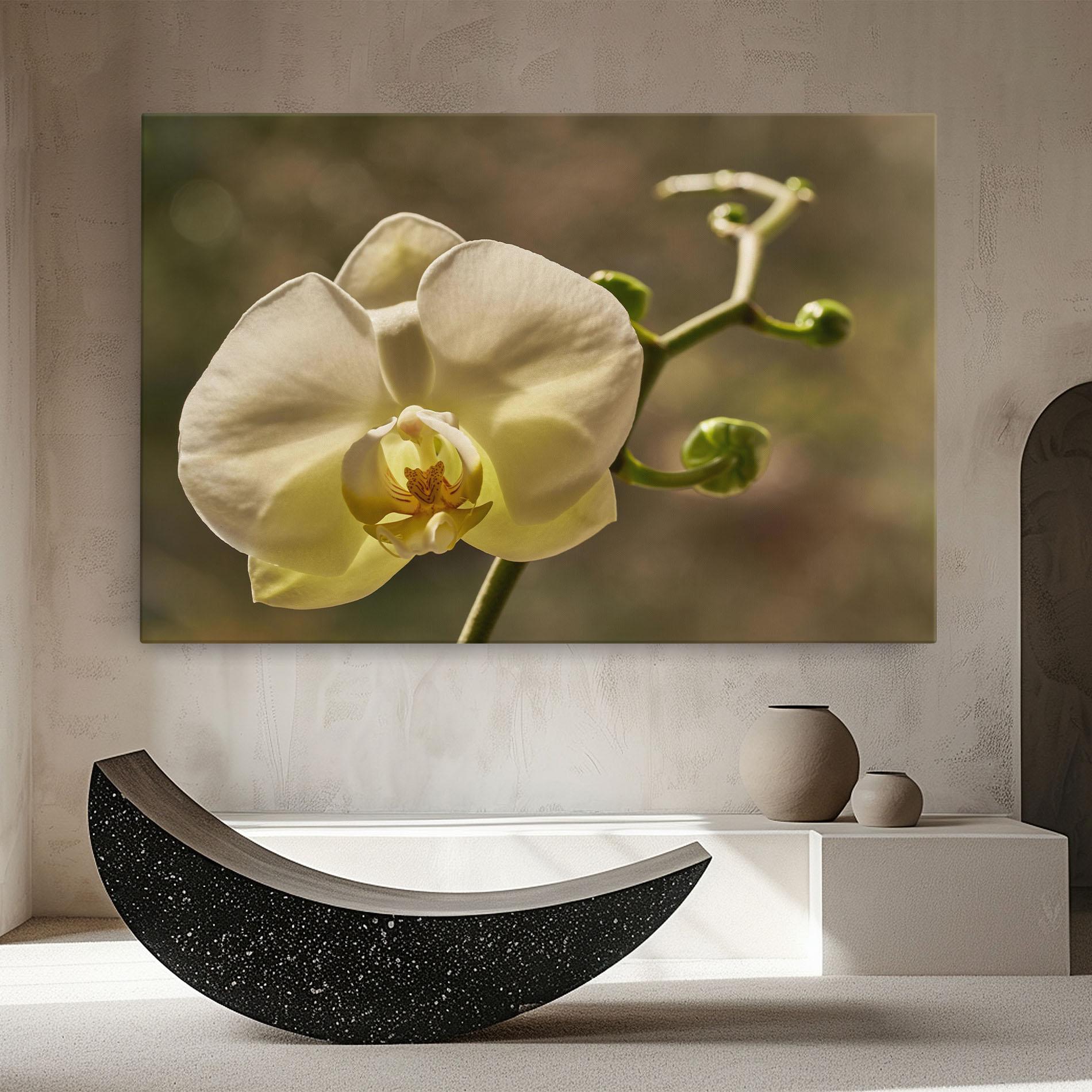 Tablou Canvas Pastel Yellow Orchid In Garden mockup 8