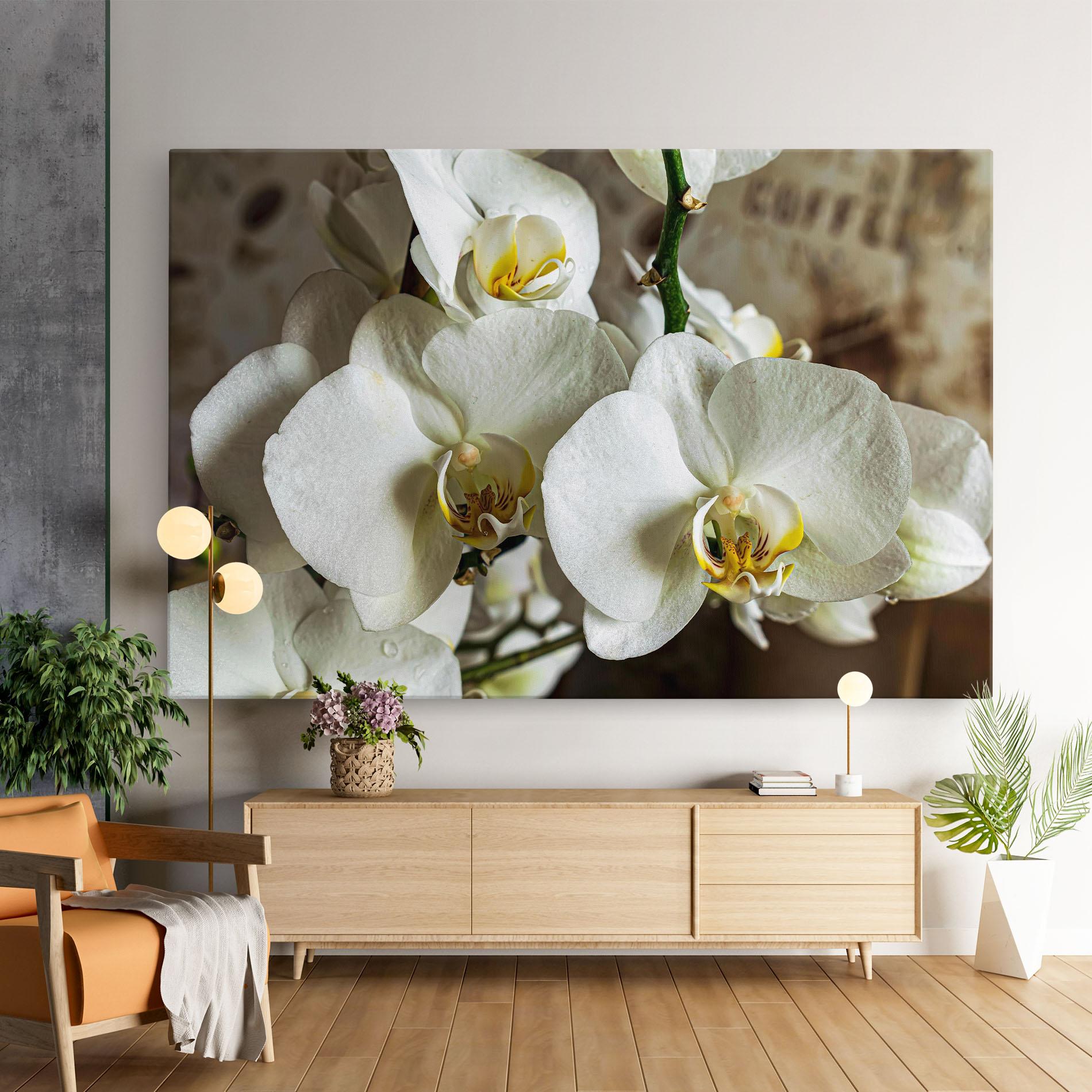 Tablou Canvas Beautiful White Orchids mockup 9