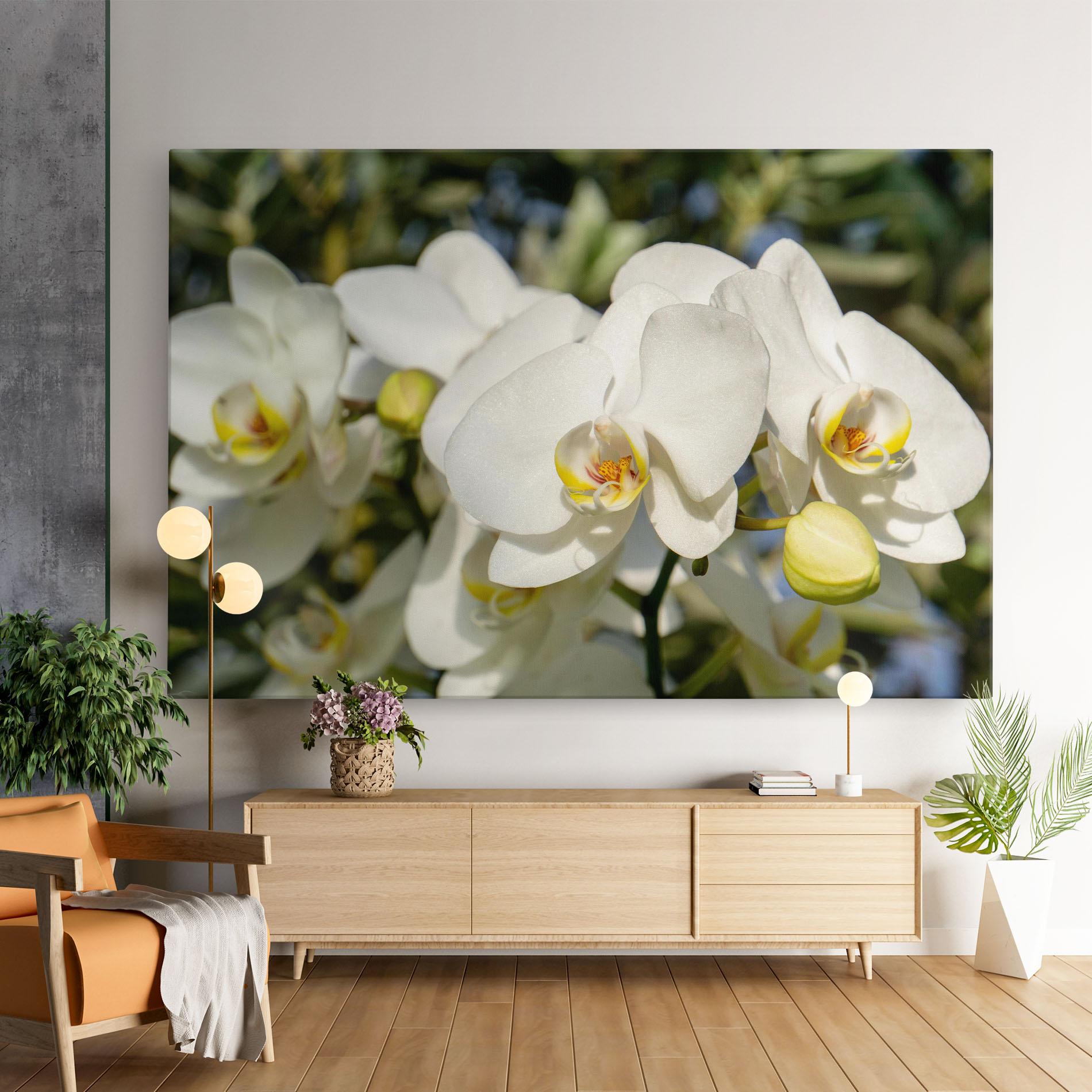 Tablou Canvas Big Orchids In Nature mockup 9