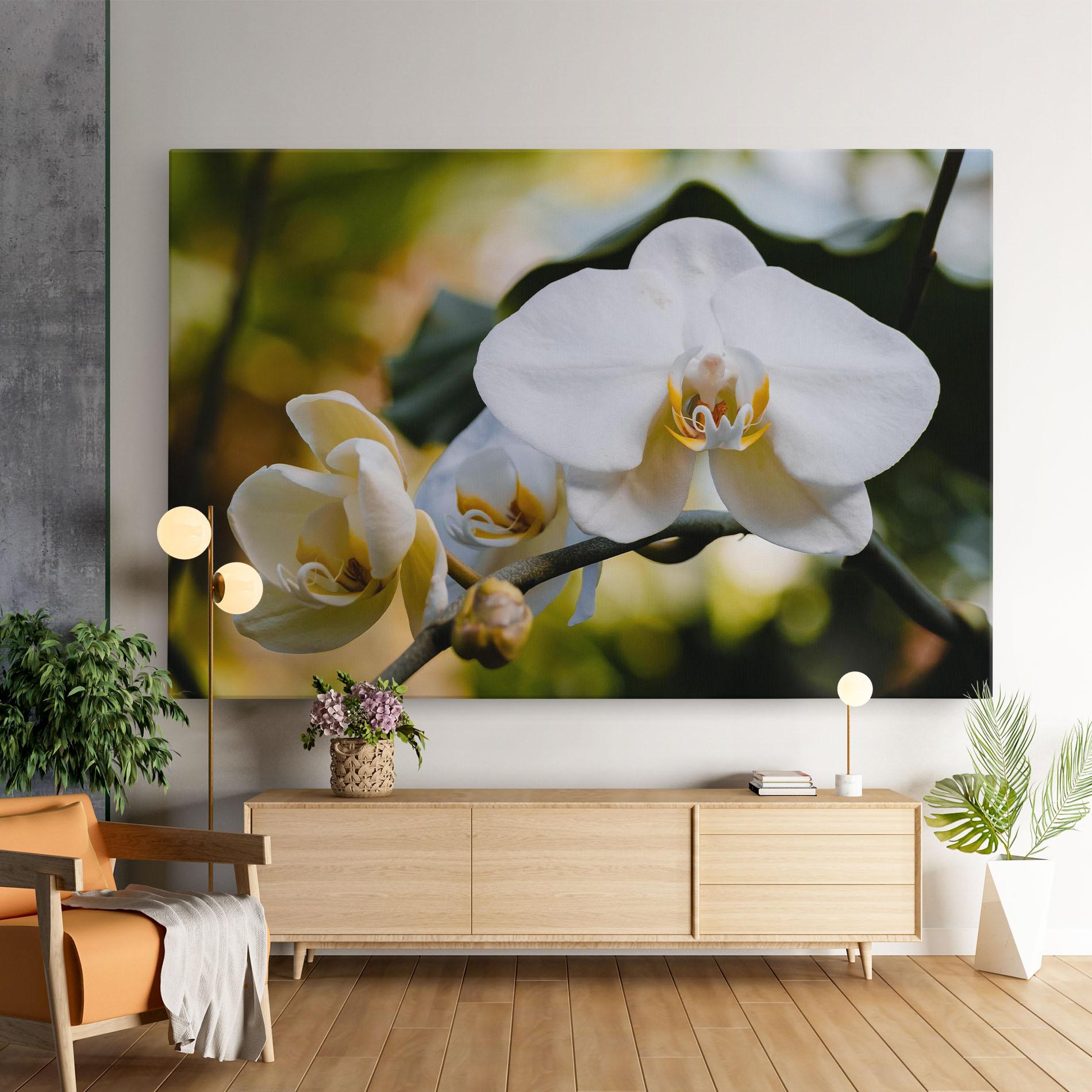 Tablou Canvas Cream Orchid In Nature mockup 9