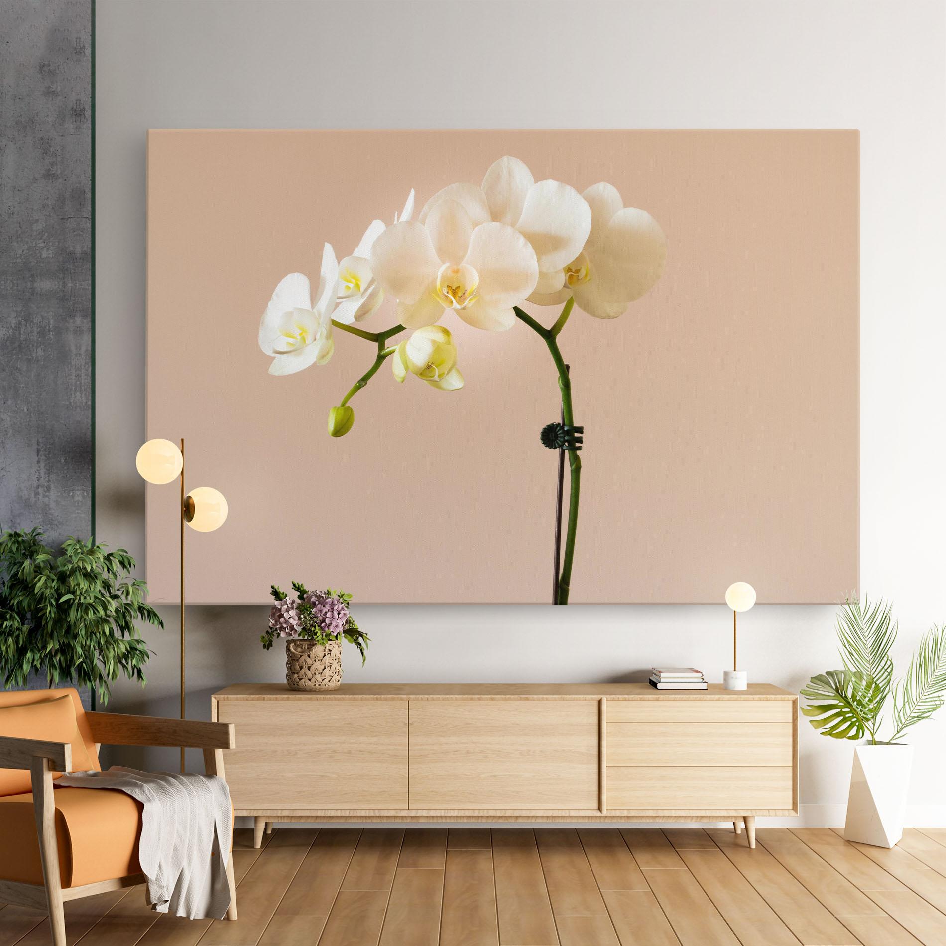 Tablou Canvas Cream Orchid On Pink mockup 9