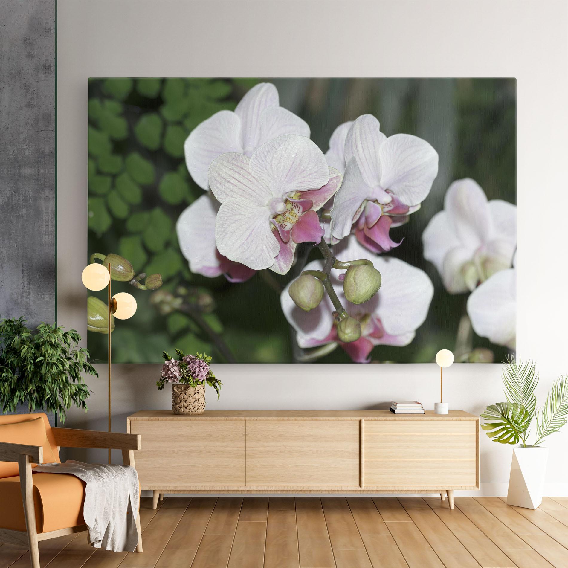 Tablou Canvas Orchid Botanical Garden mockup 9
