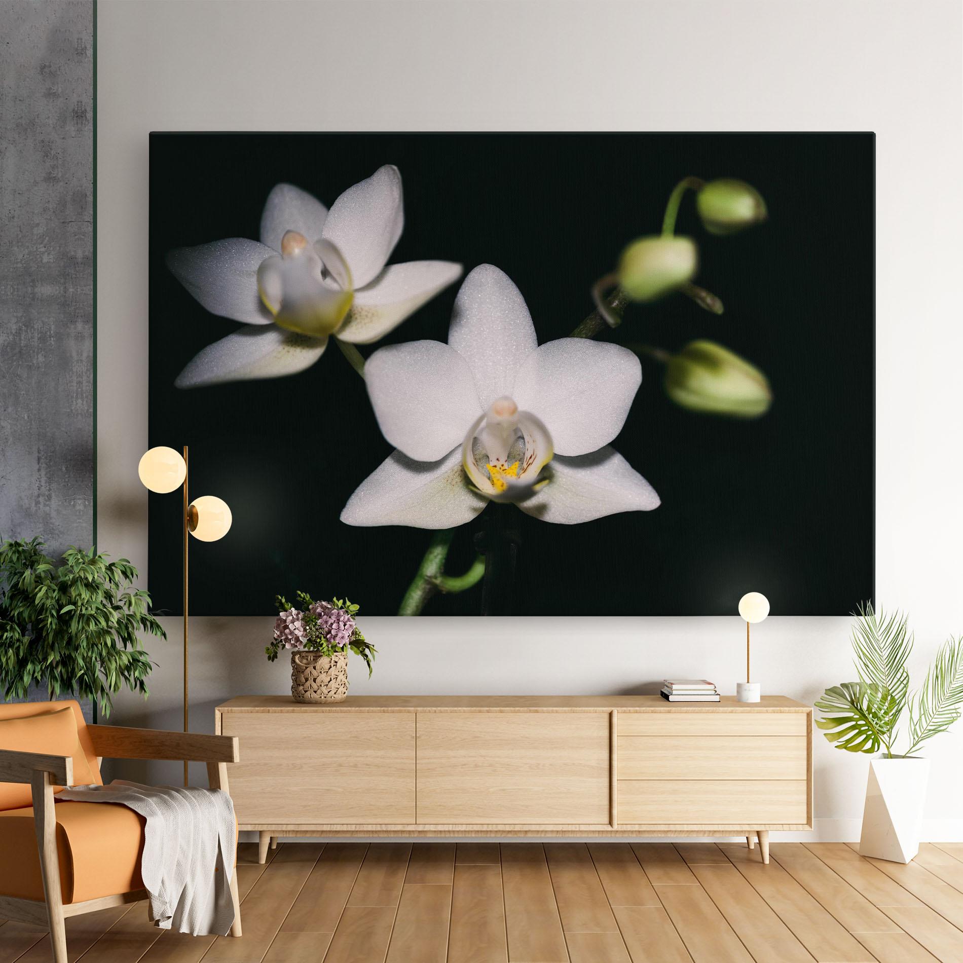 Tablou Canvas Orchids On Black mockup 9