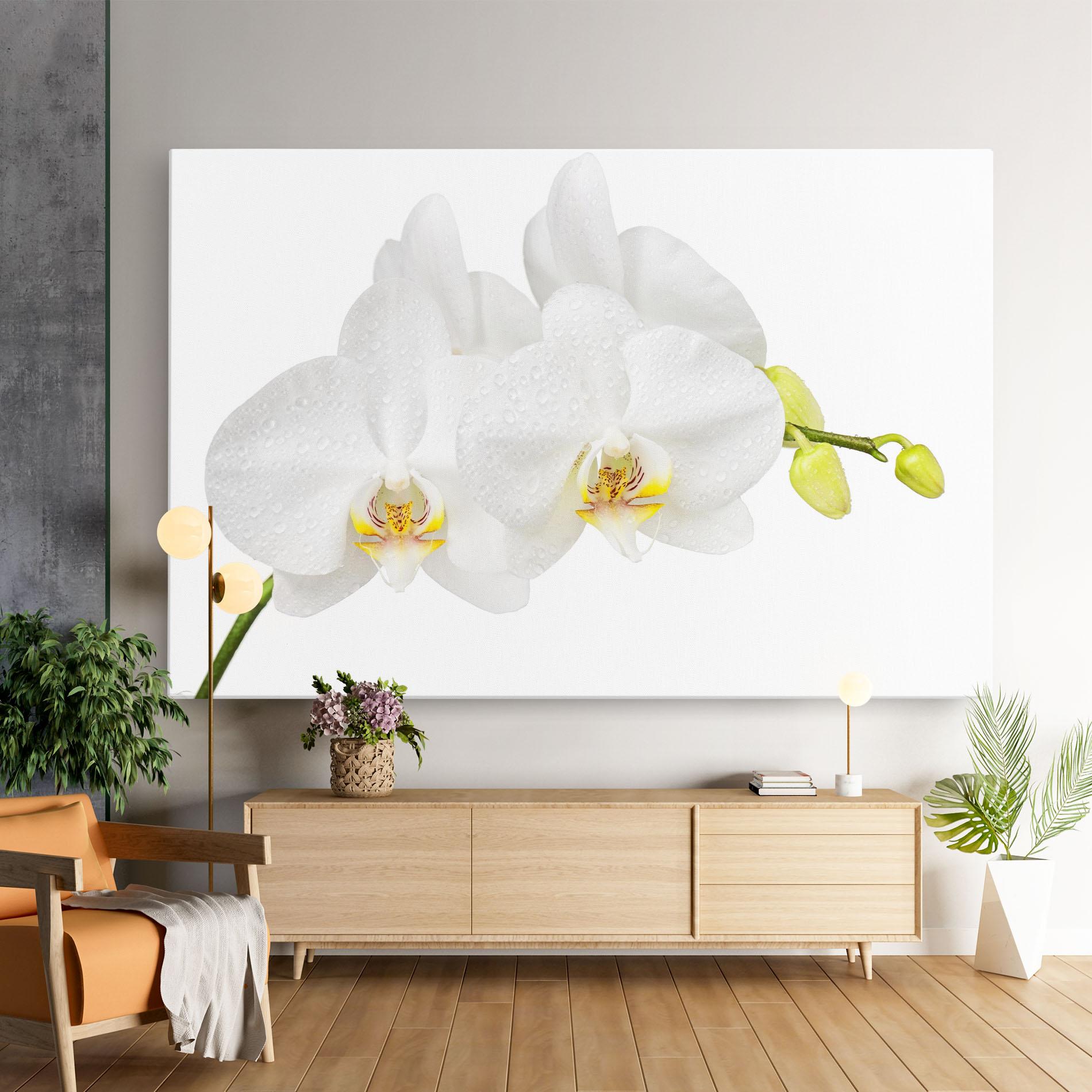 Tablou Canvas Orchids On White mockup 9