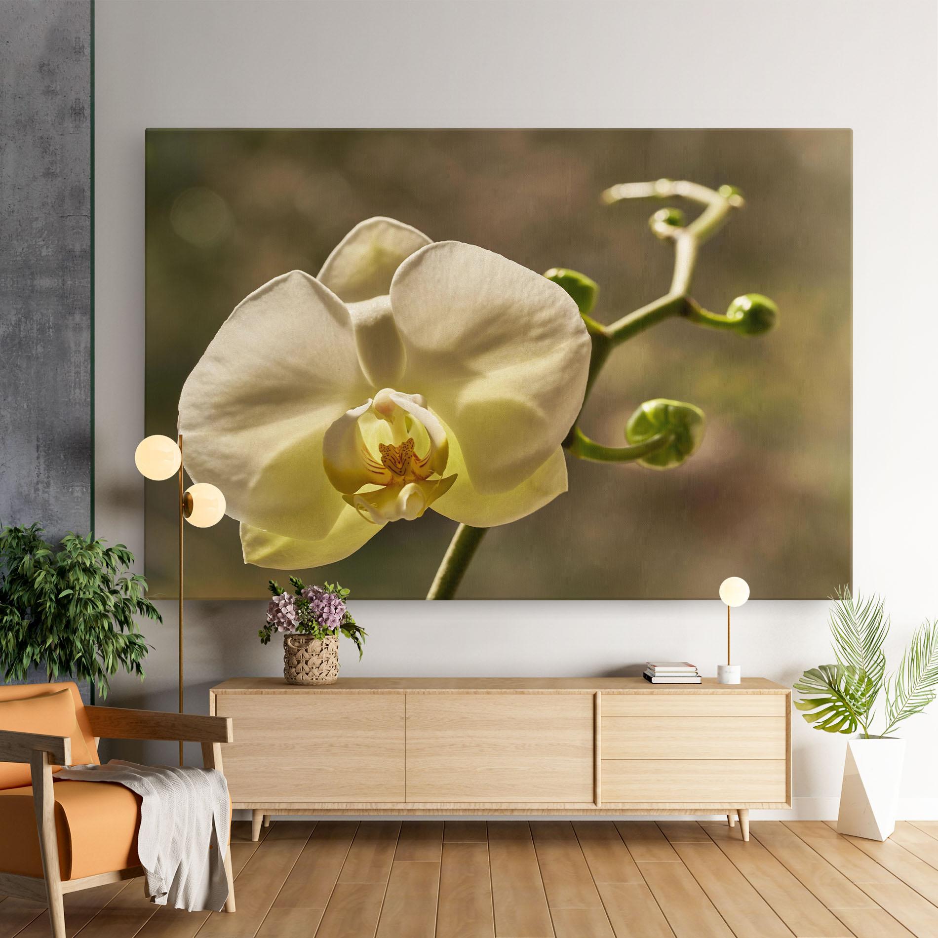 Tablou Canvas Pastel Yellow Orchid In Garden mockup 9