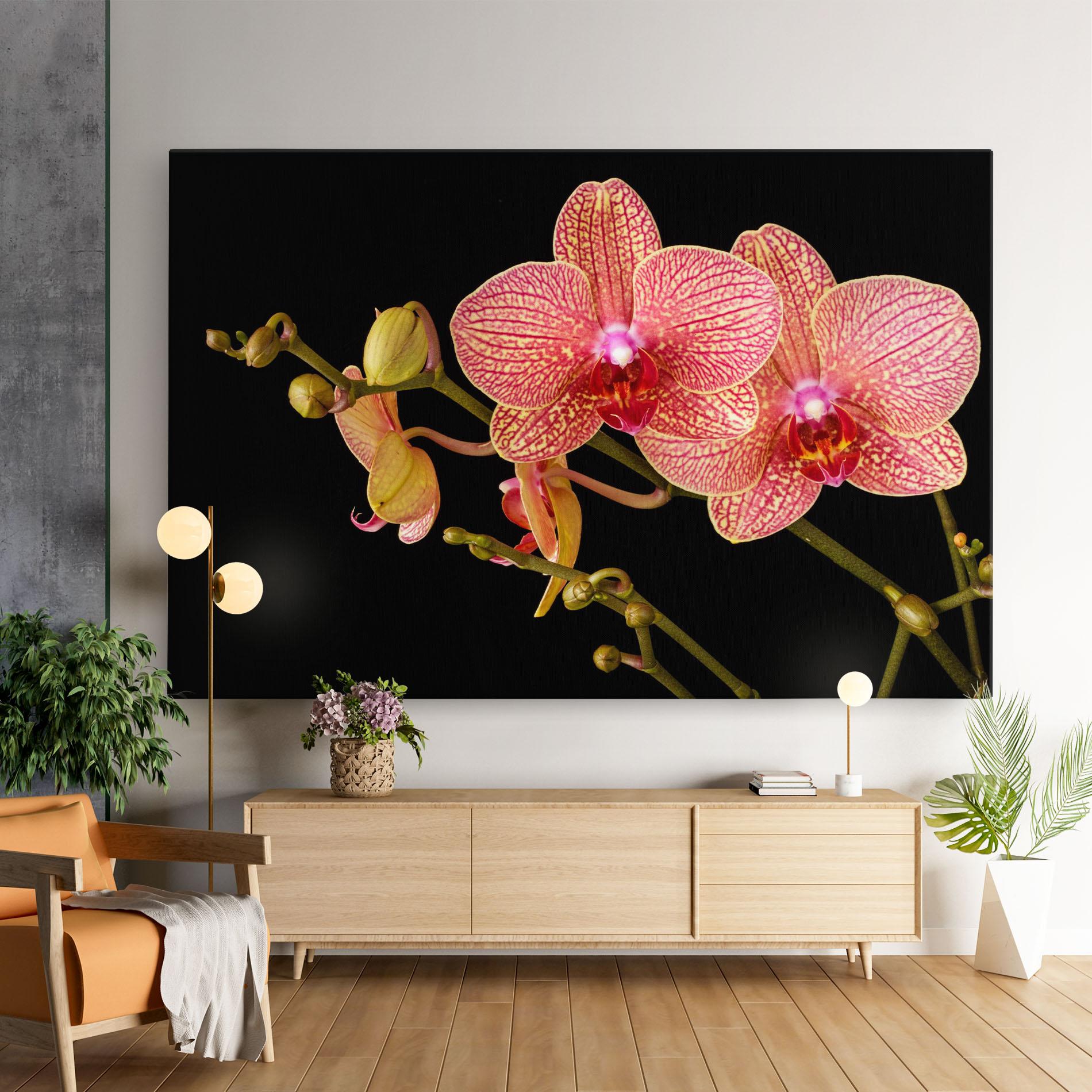 Tablou Canvas Pink Orchids On Black mockup 9
