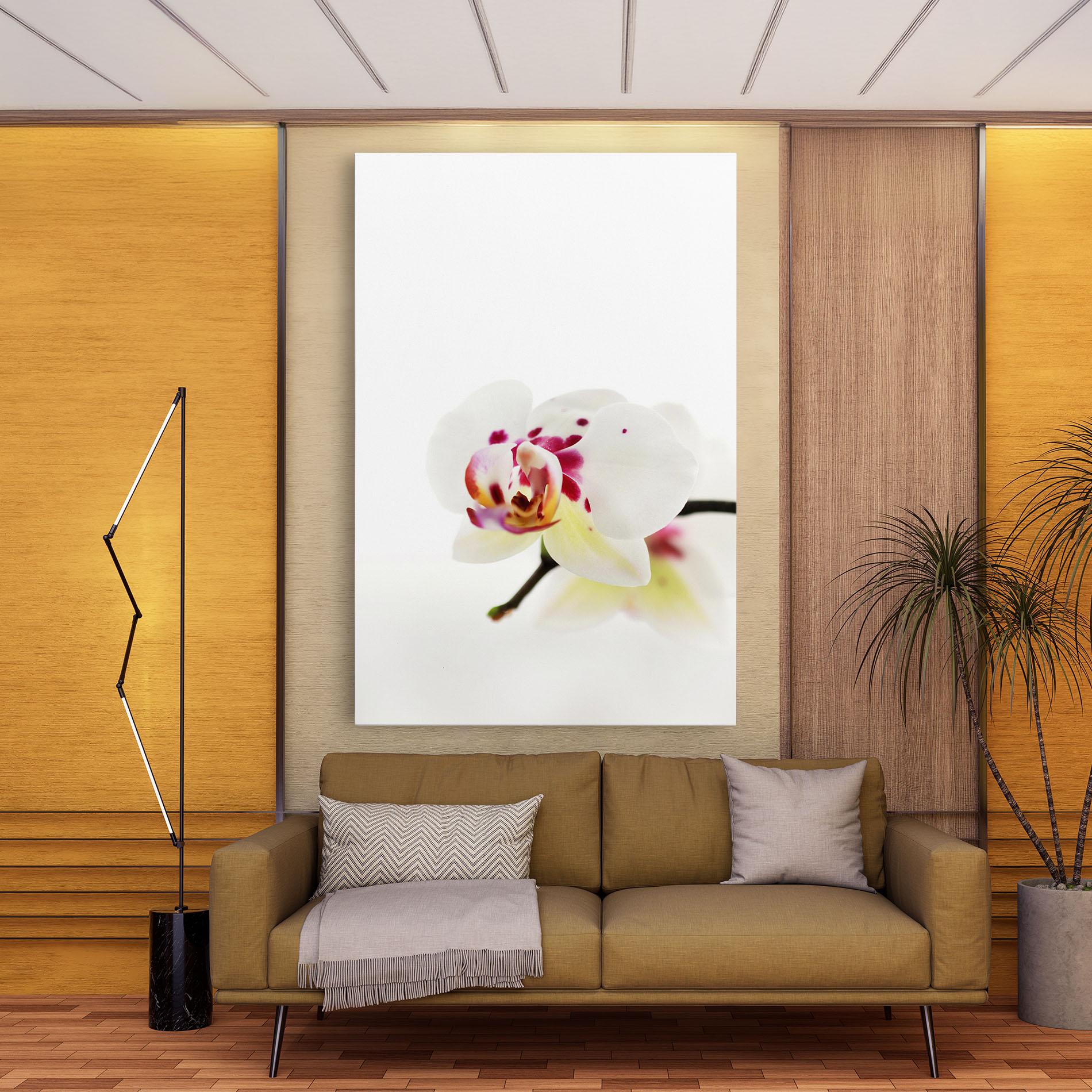 Tablou Canvas Clean White Orchid mockup 9