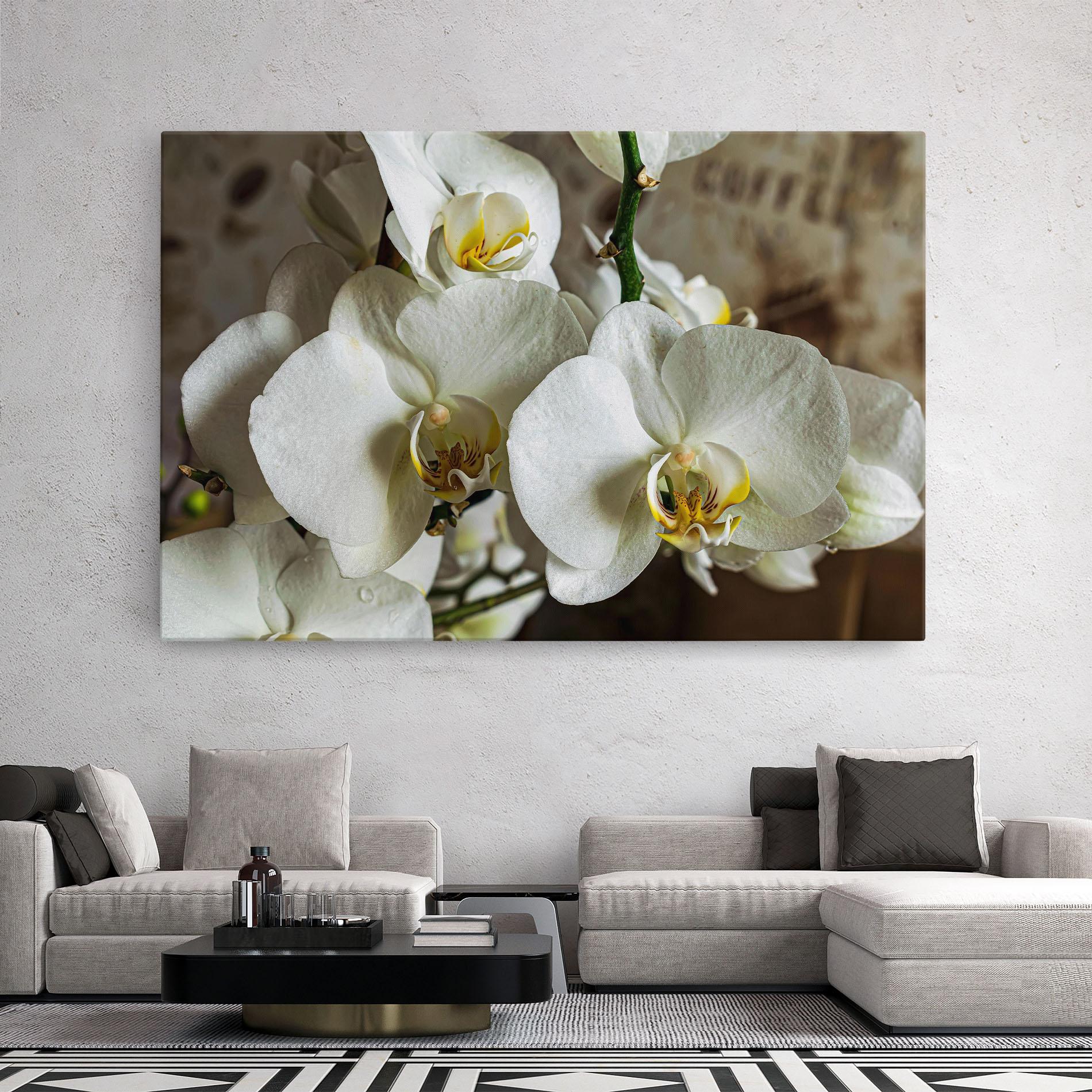 Tablou Canvas Beautiful White Orchids mockup 2
