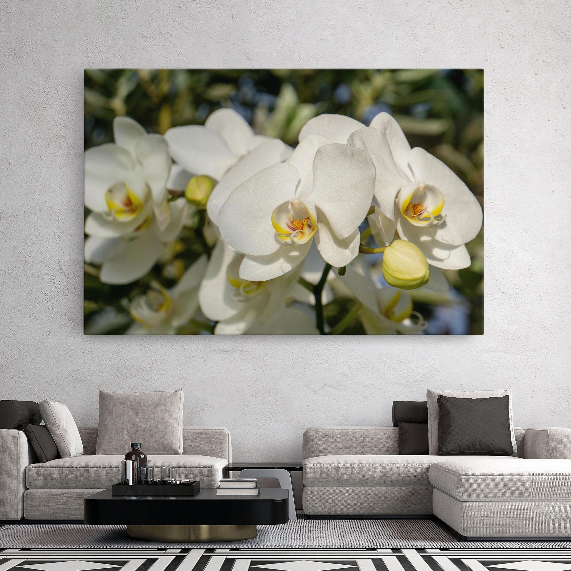 Tablou Canvas Big Orchids In Nature mockup 2