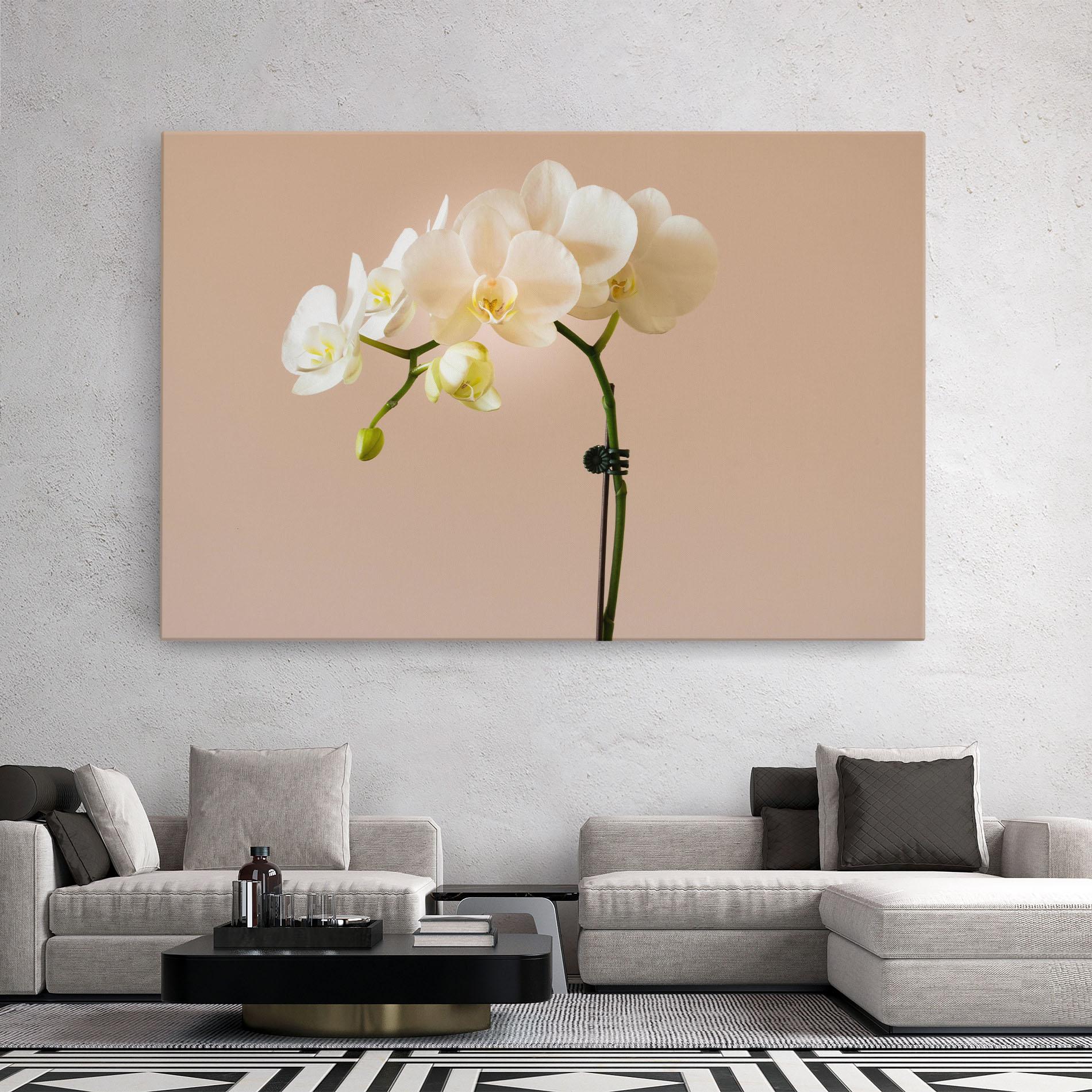 Tablou Canvas Cream Orchid On Pink mockup 2