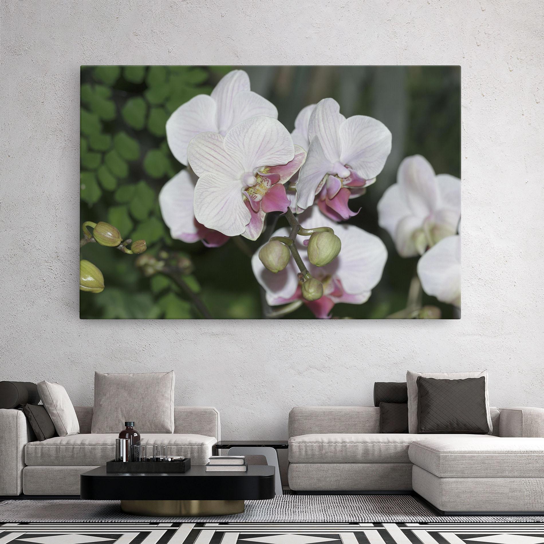 Tablou Canvas Orchid Botanical Garden mockup 2