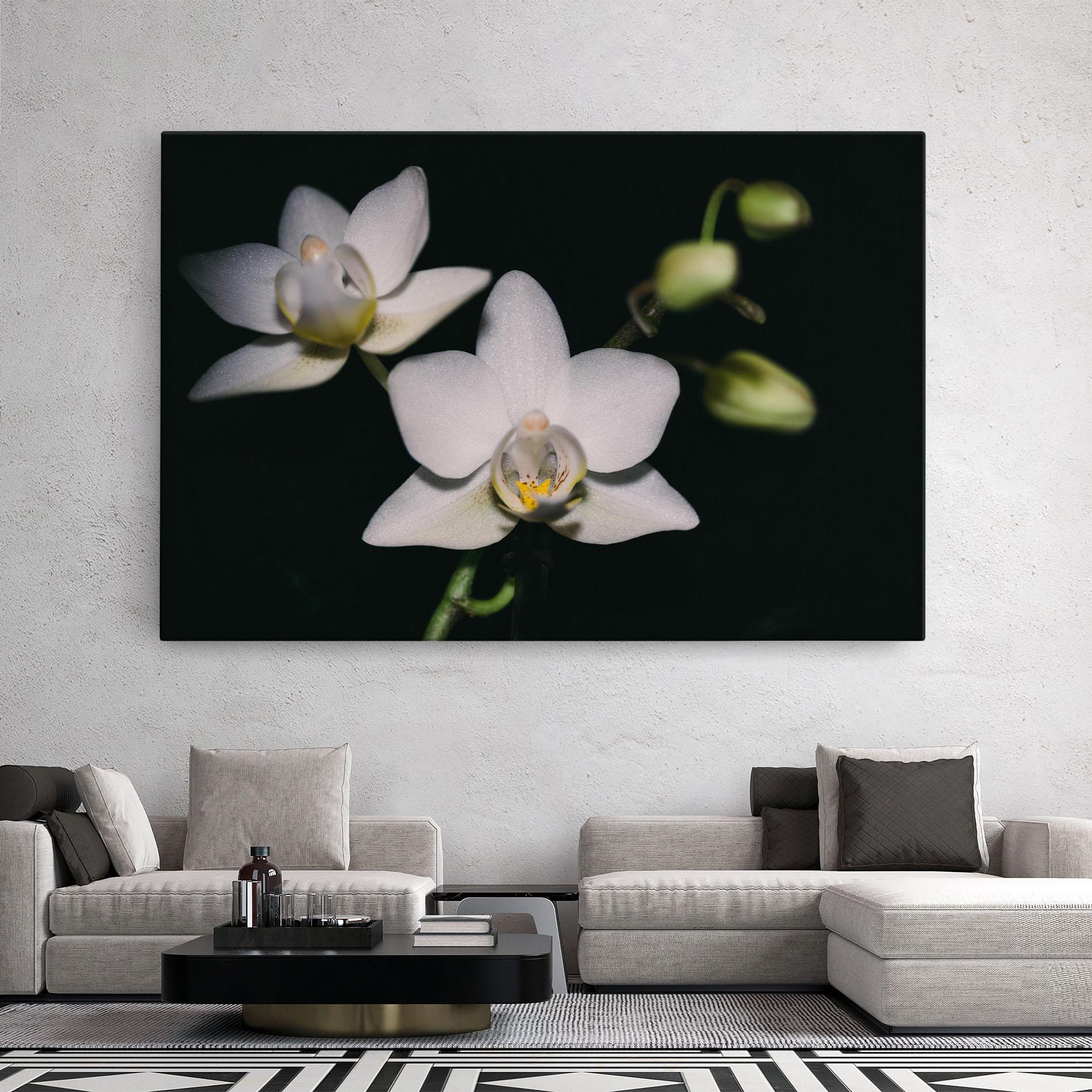 Tablou Canvas Orchids On Black mockup 2