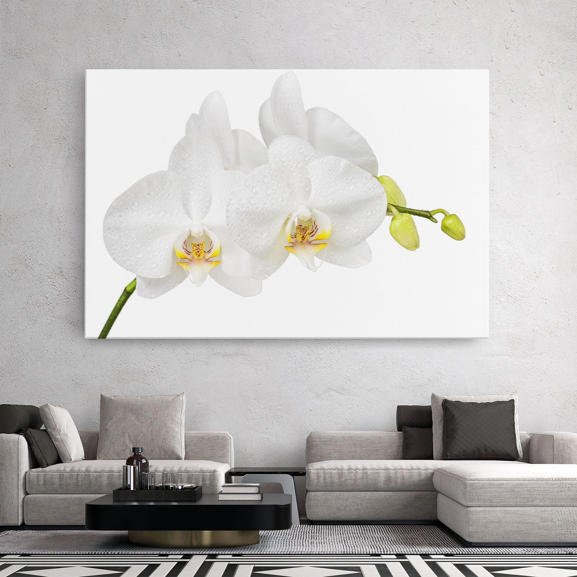 Tablou Canvas Orchids On White mockup 2