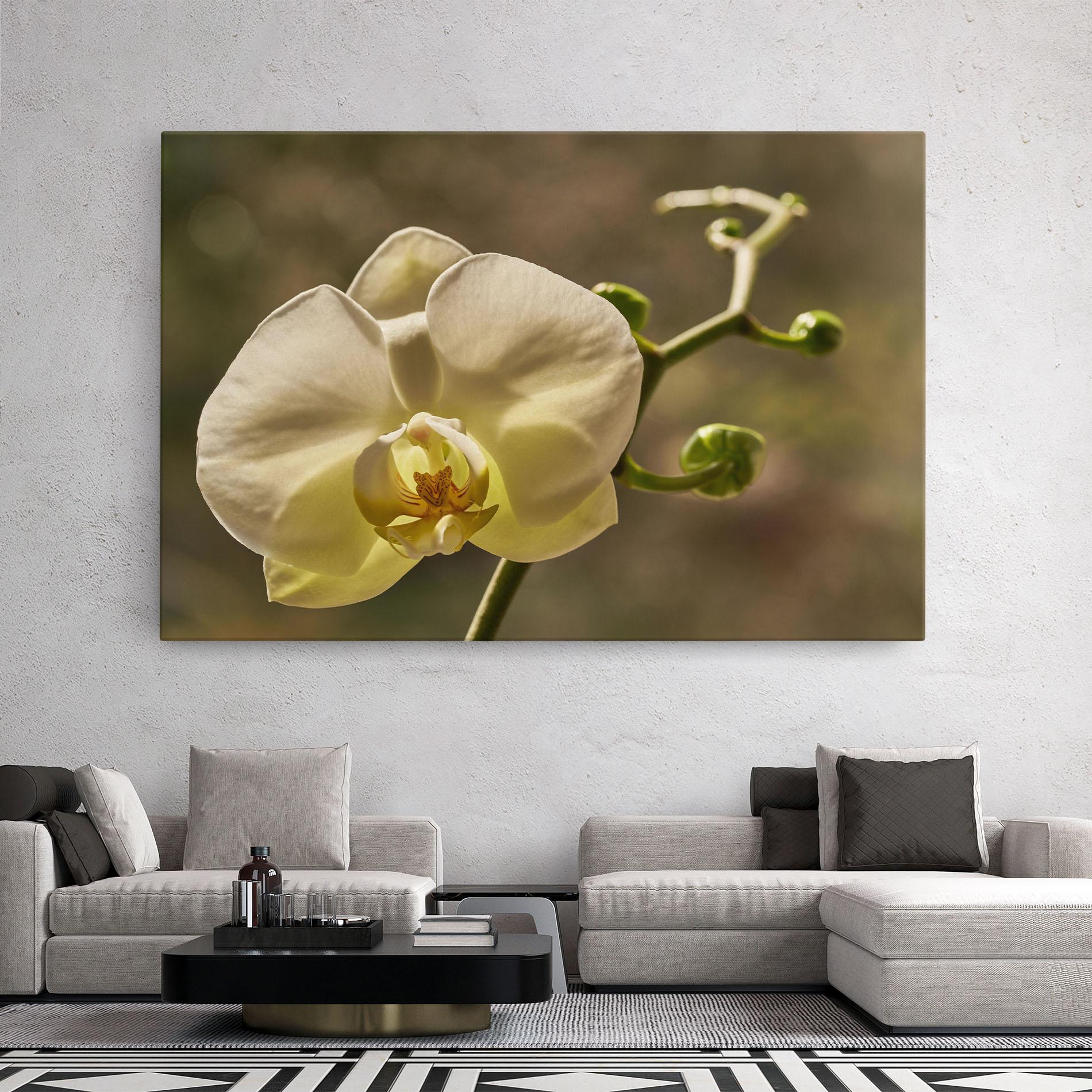 Tablou Canvas Pastel Yellow Orchid In Garden mockup 2