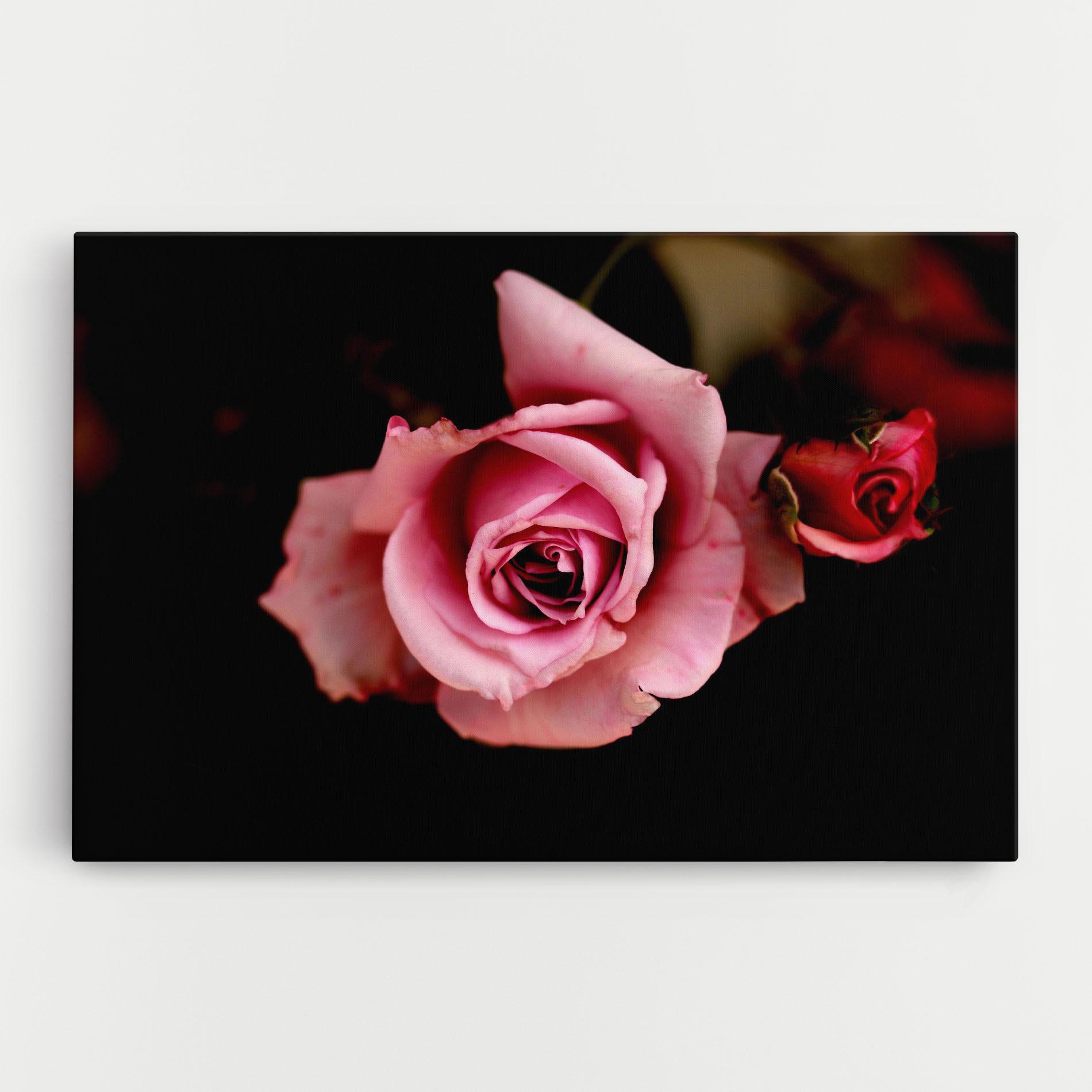 Tablou Canvas Opened Pink Rose mockup 0