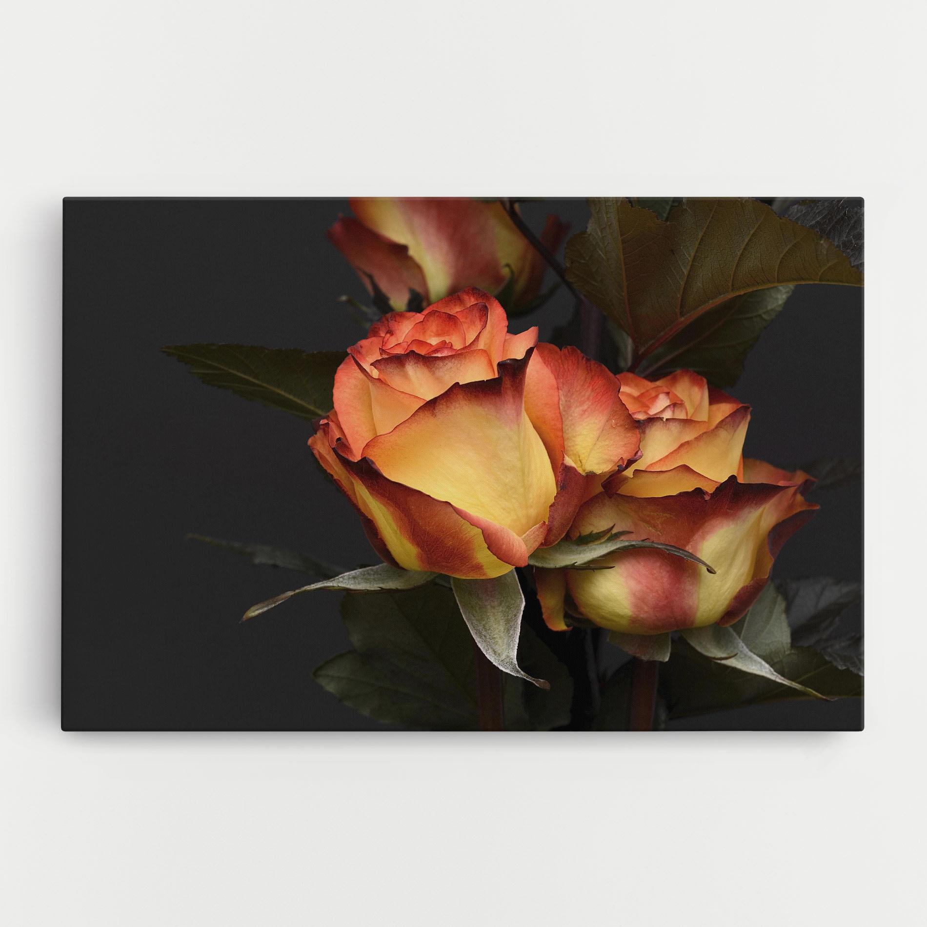 Tablou Canvas Orange Rose mockup 0