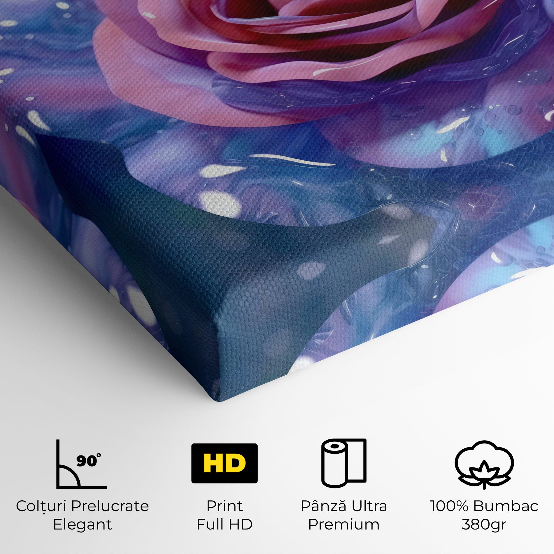 Beautiful Blue Pink Rose mockup 4
