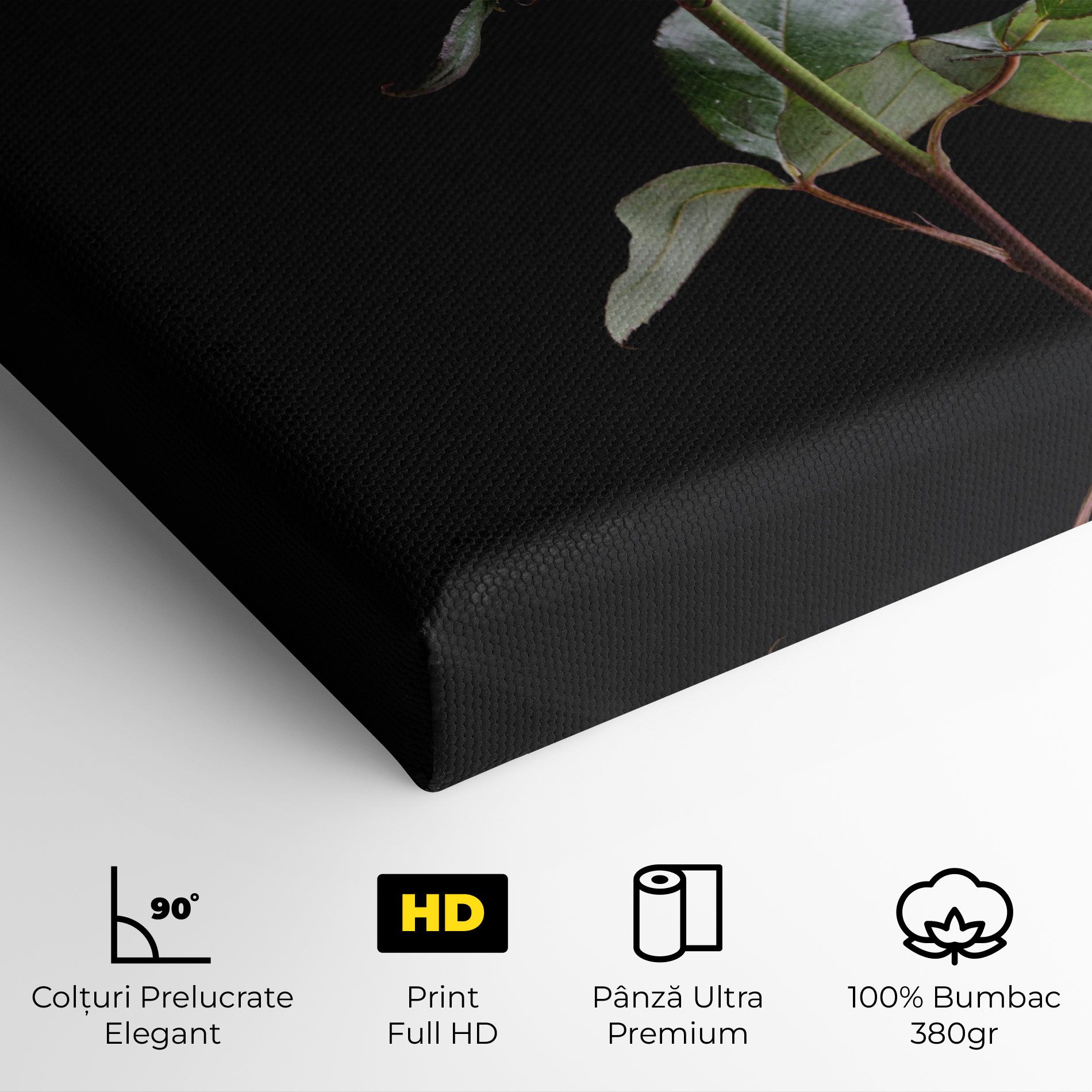 Beautiful Red Rose mockup 4