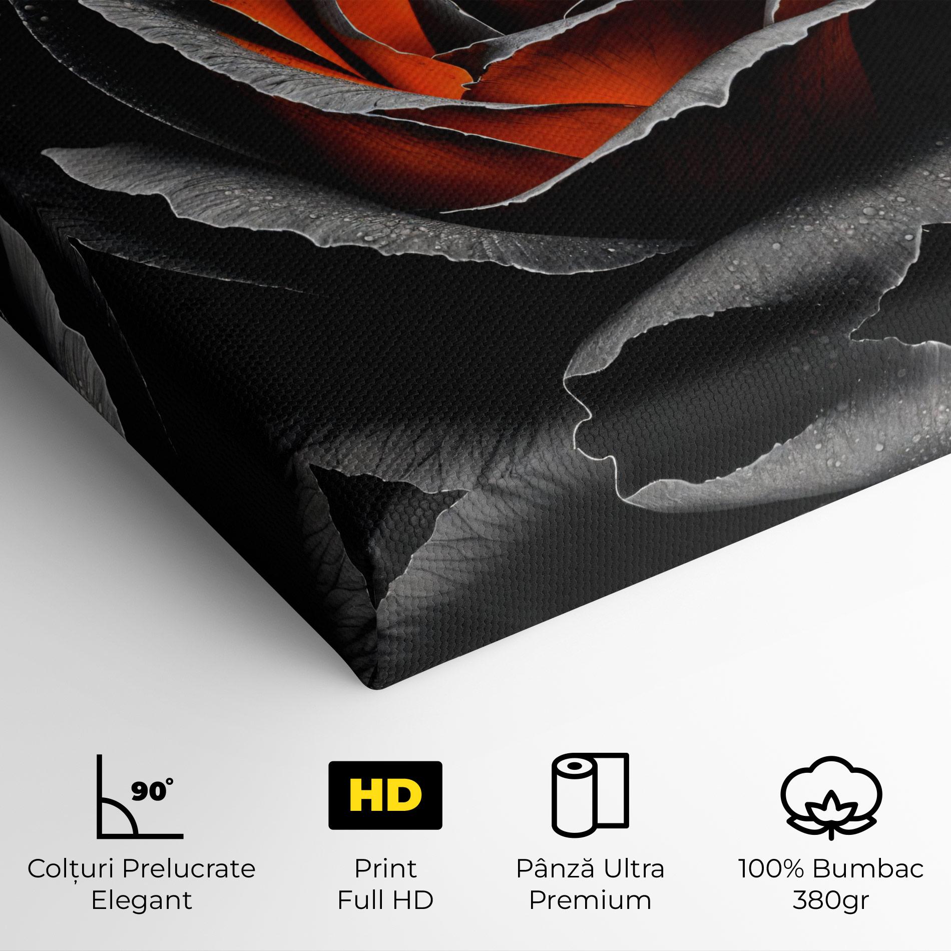 Tablou Canvas Grey Orange Rose mockup 4