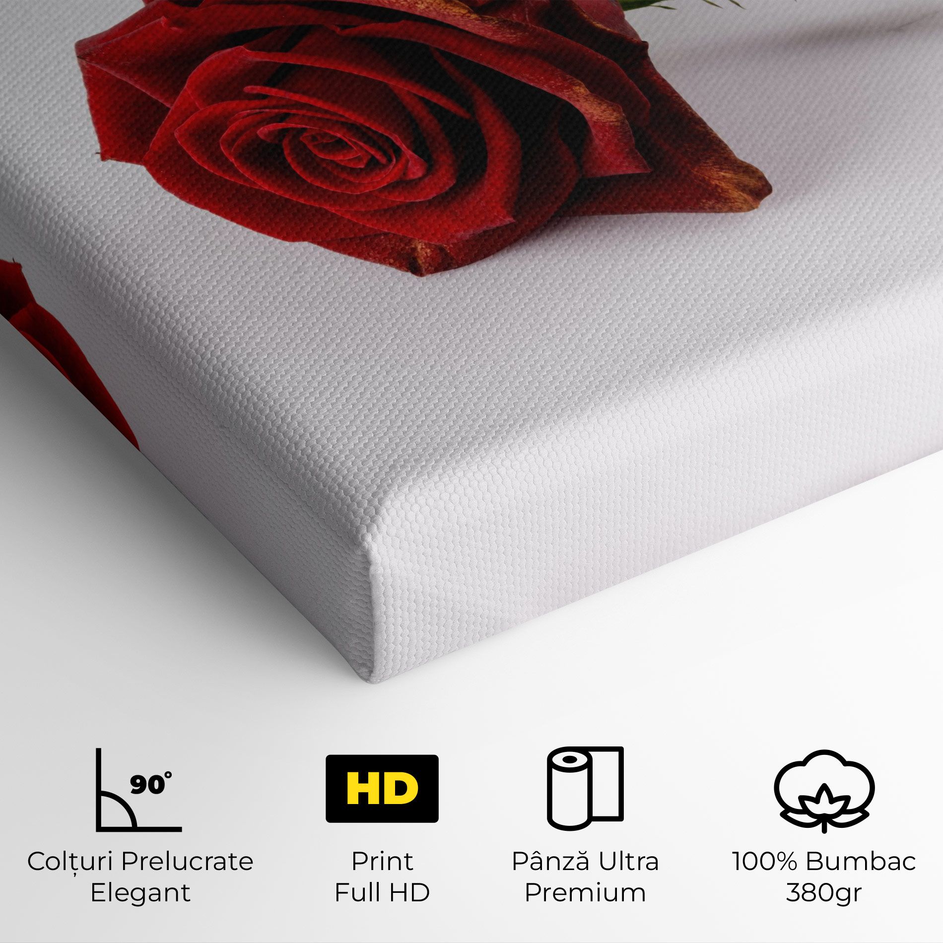 Lonely Rose mockup 4