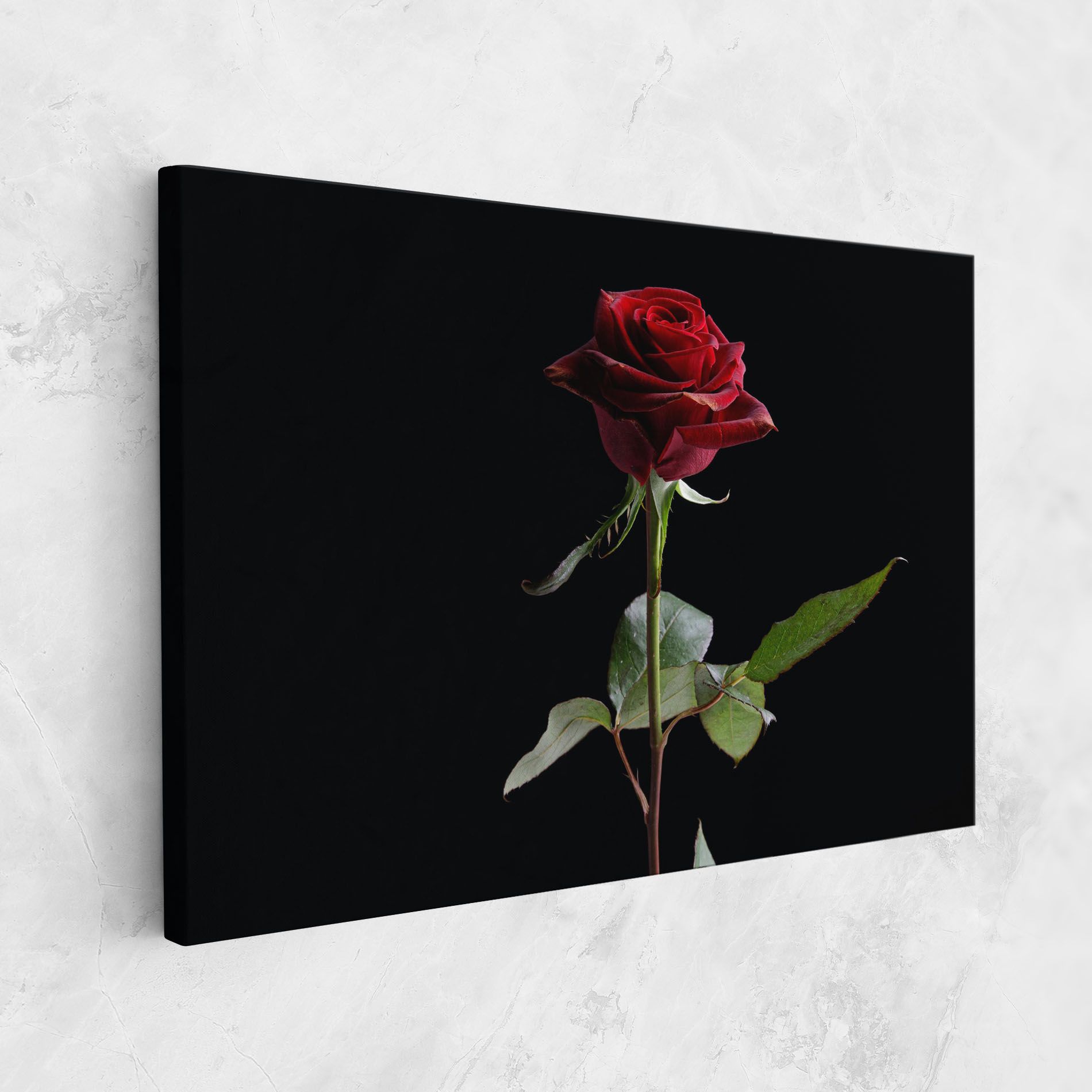 Beautiful Red Rose mockup 1