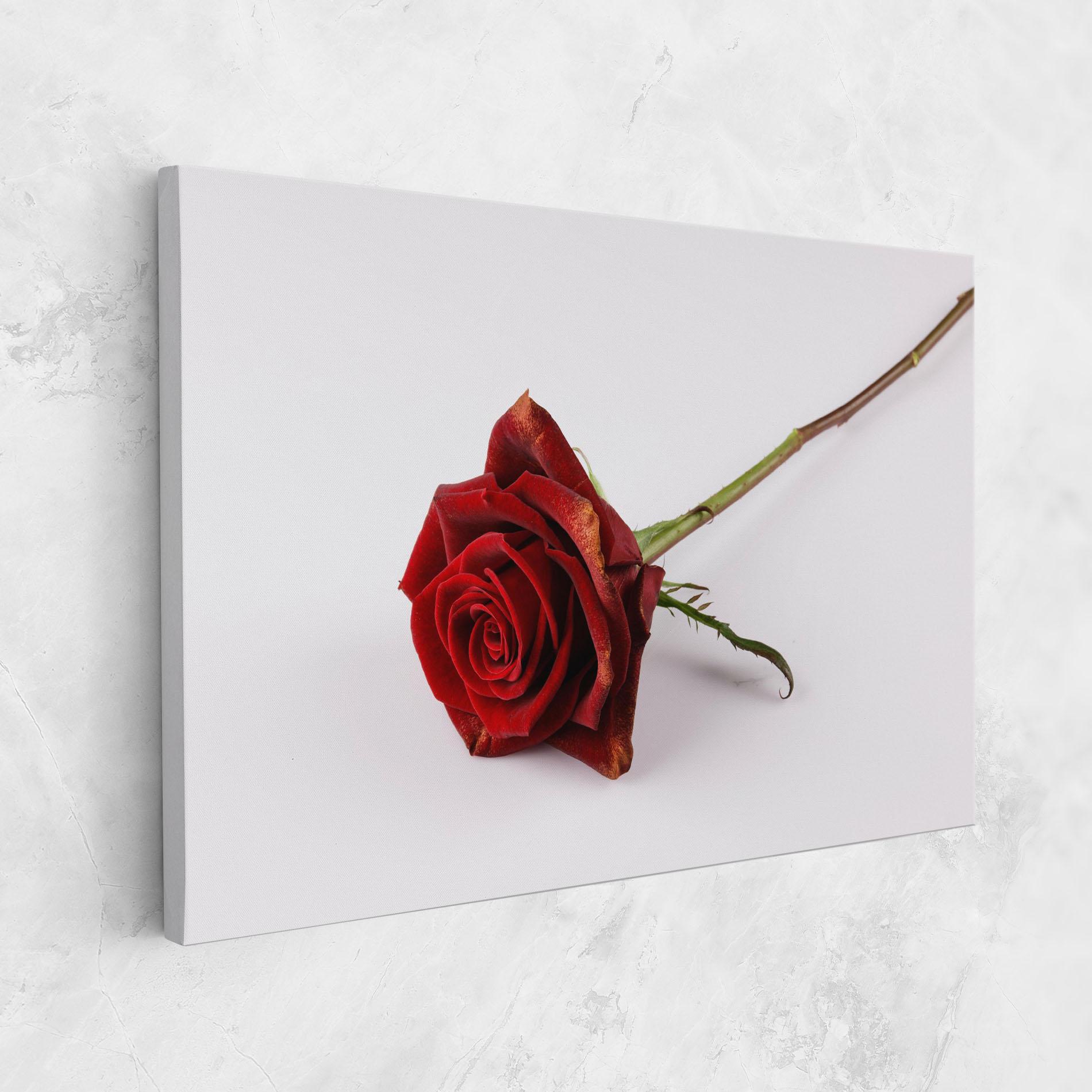 Tablou Canvas Lonely Rose mockup 1