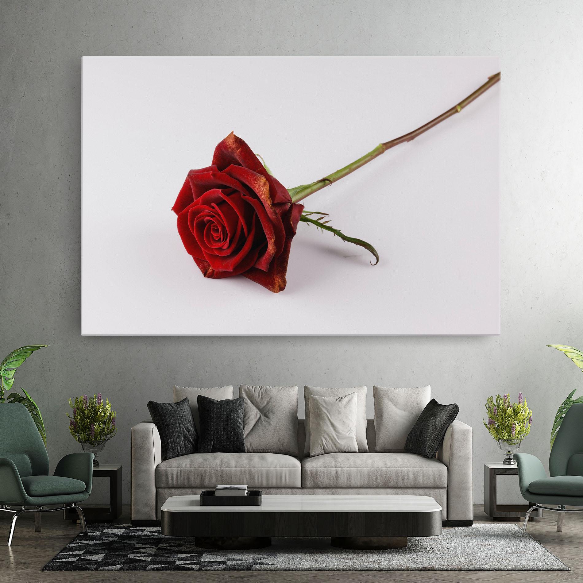 Tablou Canvas Lonely Rose mockup 7