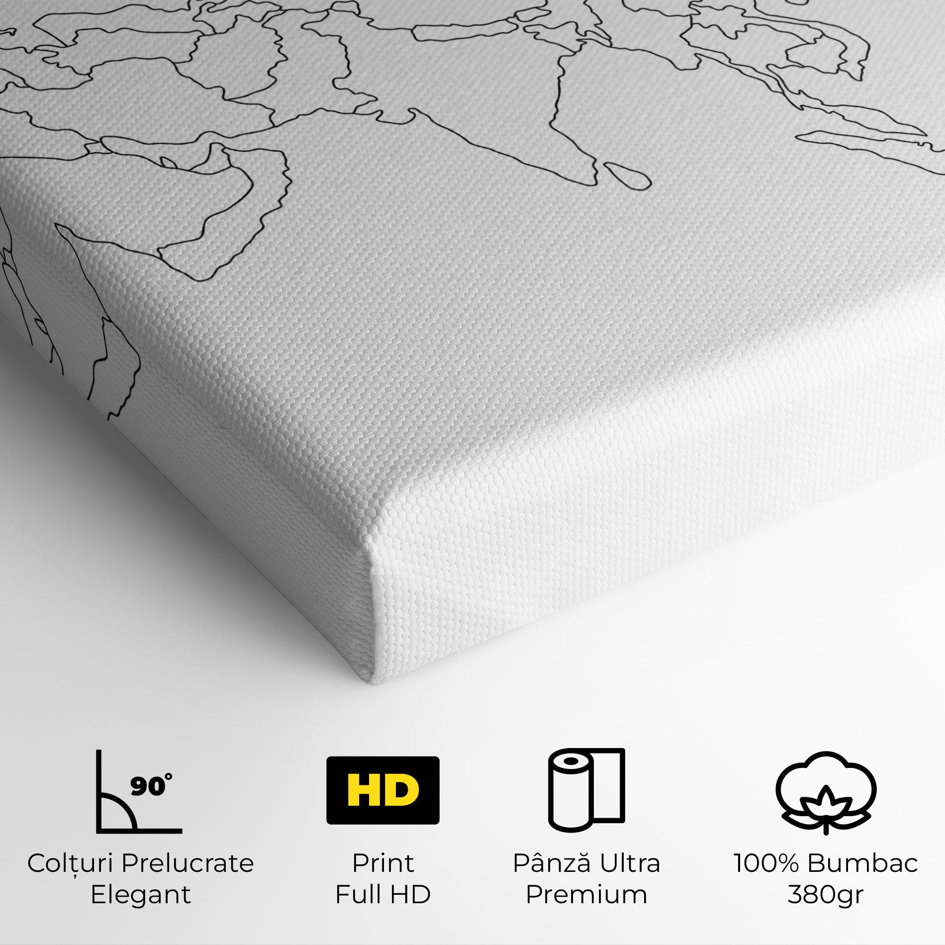 Tablou Canvas Asia Map Line mockup 4