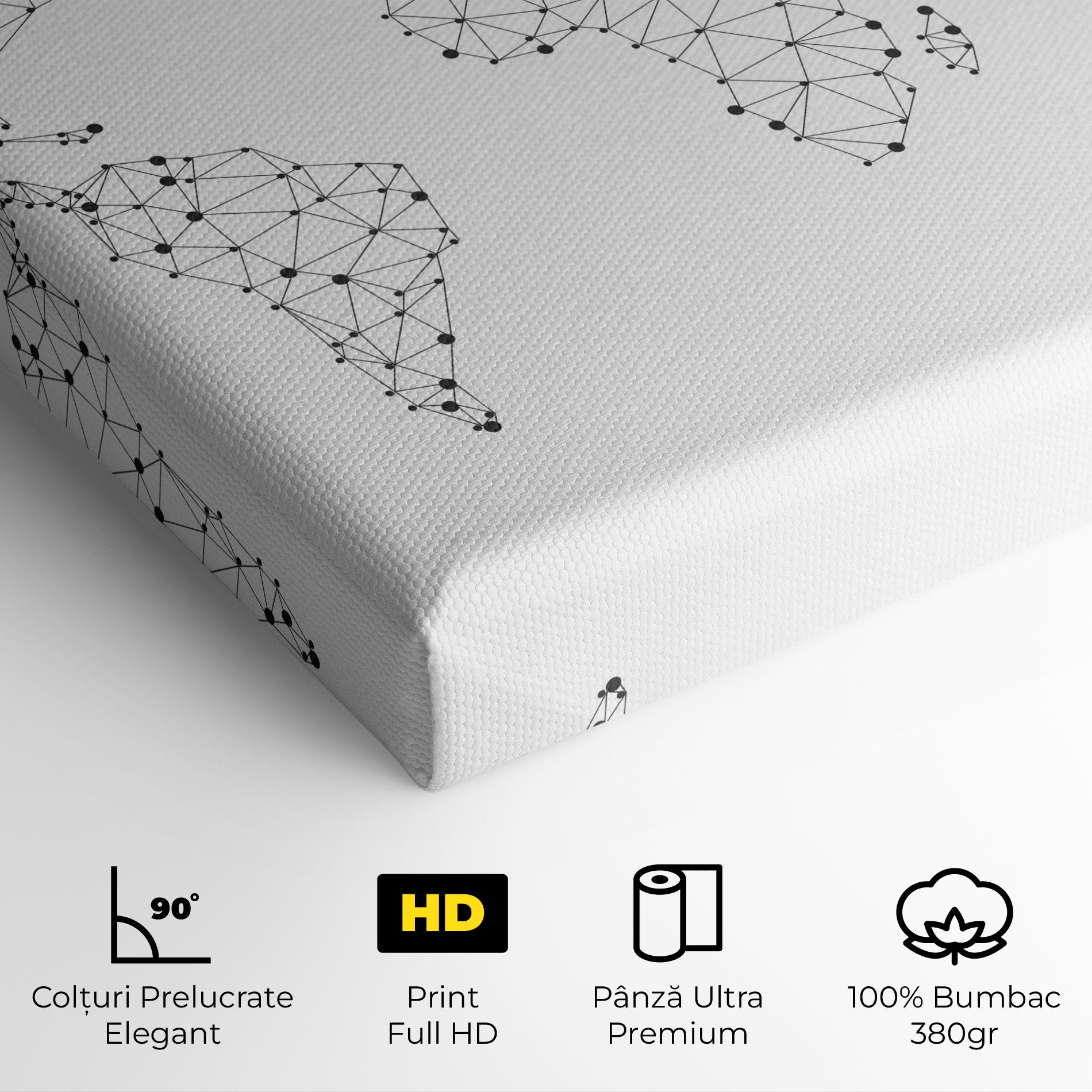 Tablou Canvas Black Map Line mockup 4