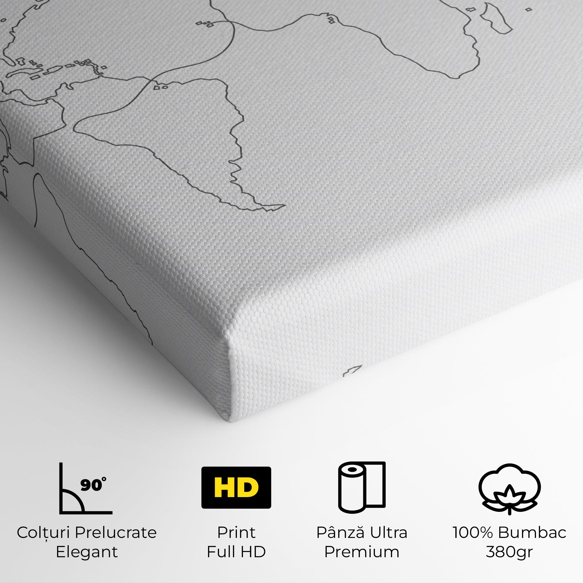 Tablou Canvas Continuous Line Map mockup 4